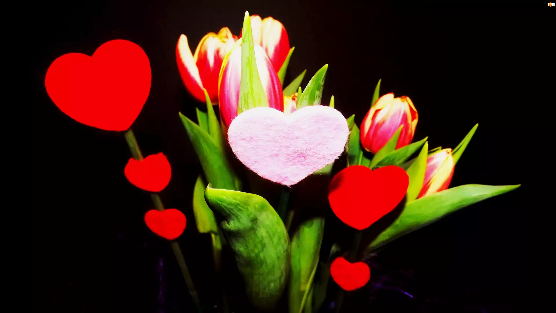 Serduszka, Walentynki, Kwiaty, Tulipany