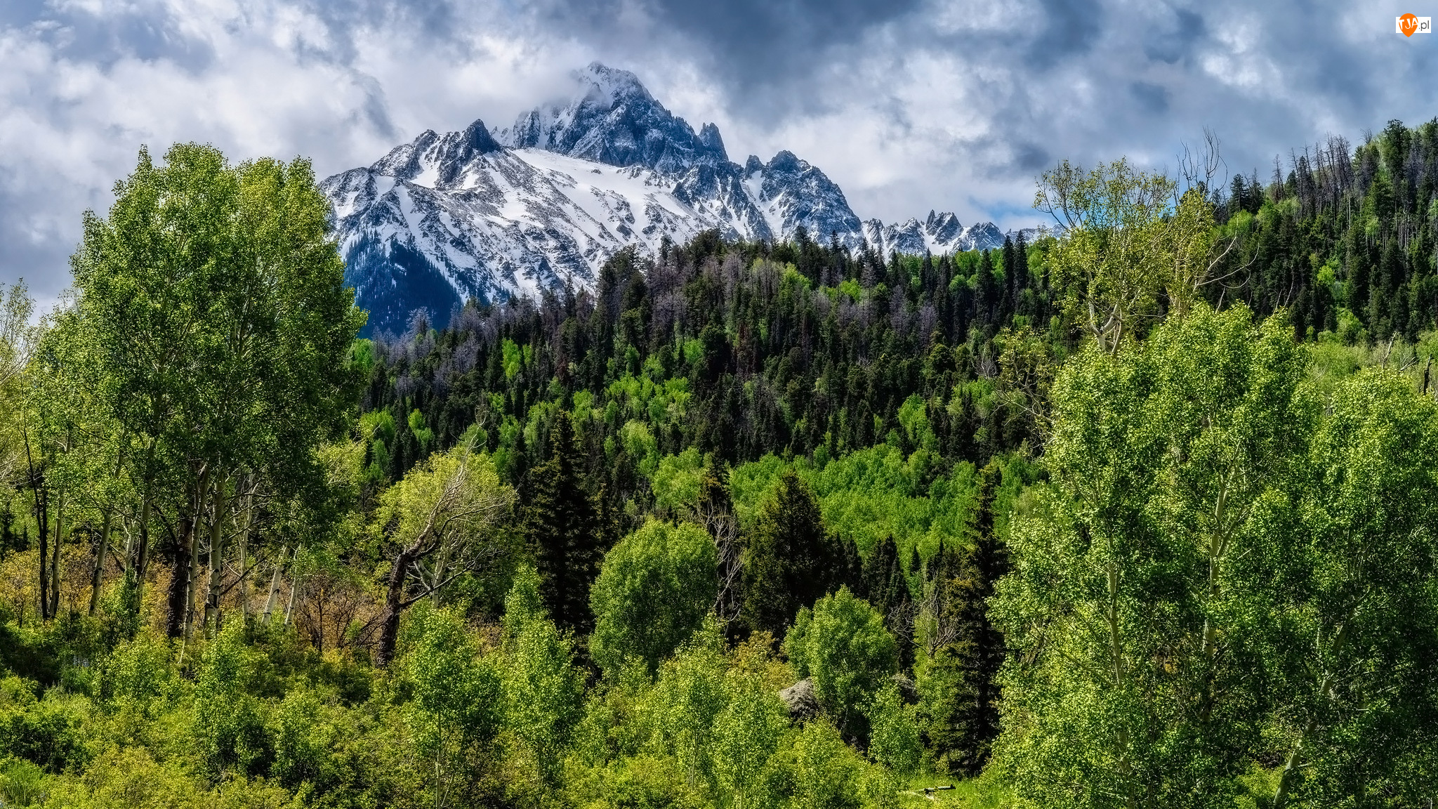 Kolorado, Góry, Drzewa, Stany Zjednoczone, Las, Mount Sneffels, San Juan Mountains