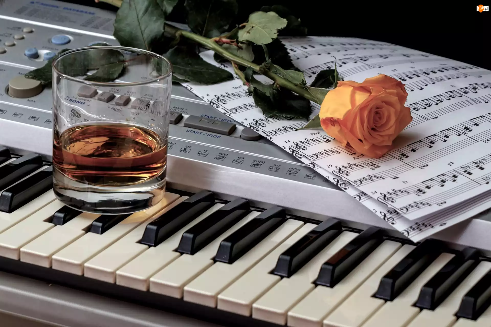 Róża, Herbaciana, Szklanka, Keyboard, Nuty, Instrument muzyczny