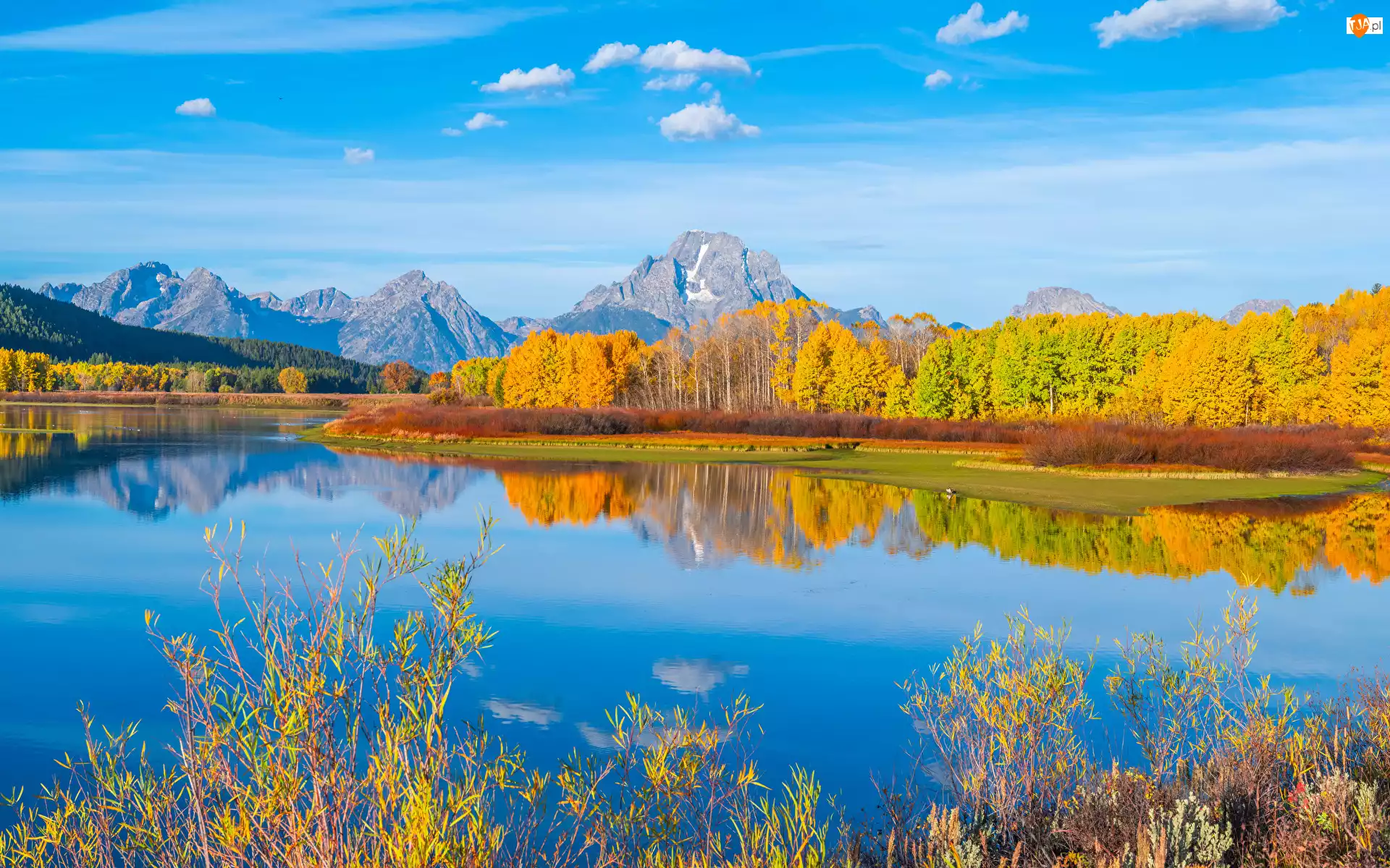 Park Narodowy Grand Teton, Stany Zjednoczone, Teton Range, Drzewa, Stan Wyoming, Rzeka Snake River, Odbicie, Góry
