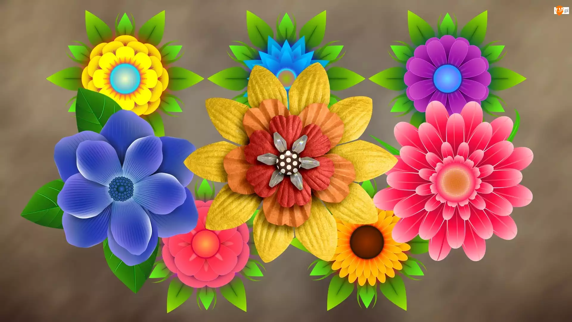 Grafika, Kolorowe, Kwiaty, 2D