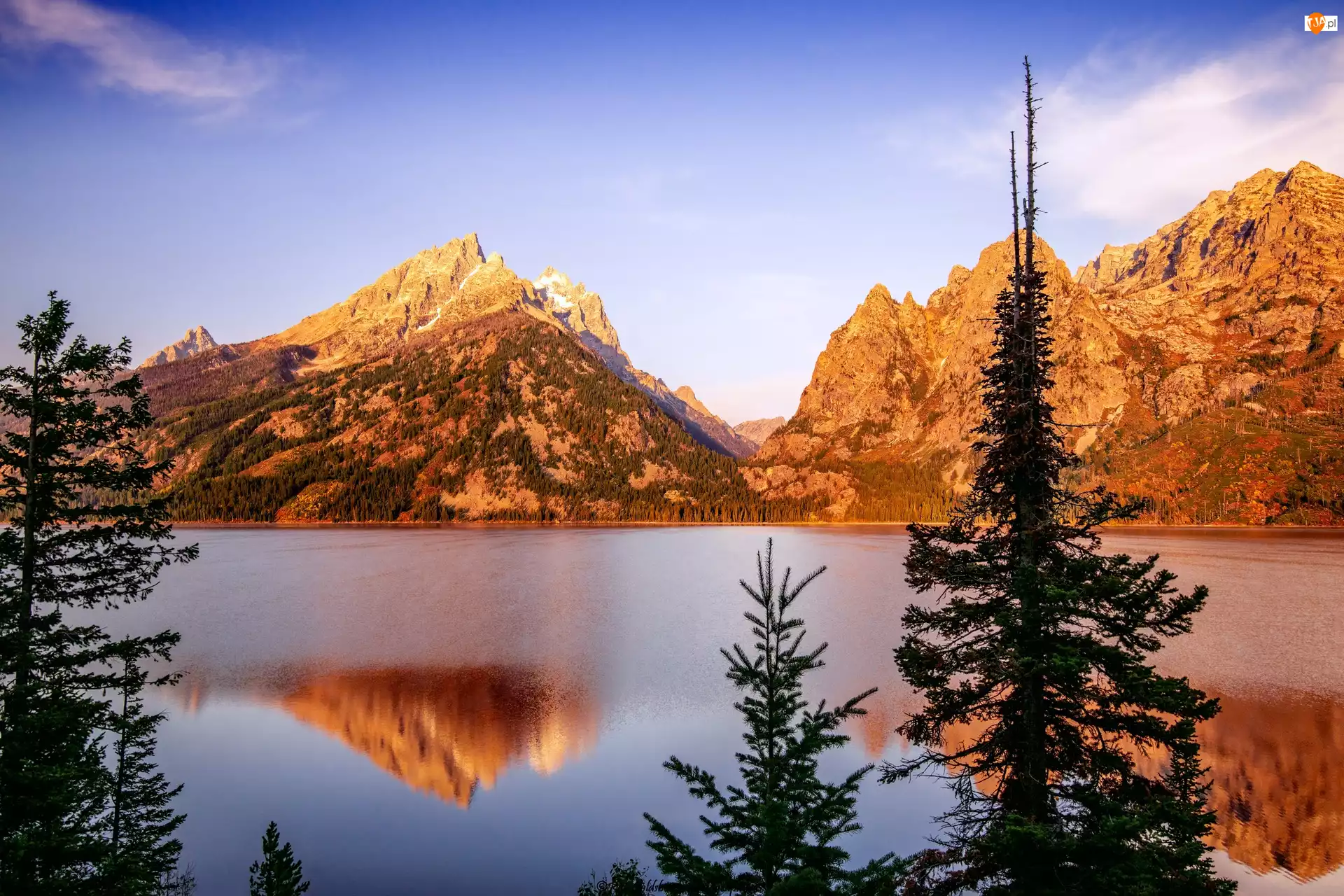 Wyoming, Park Narodowy Grand Teton, Drzewa, Stany Zjednoczone, Jenny Lake, Jezioro, Góry