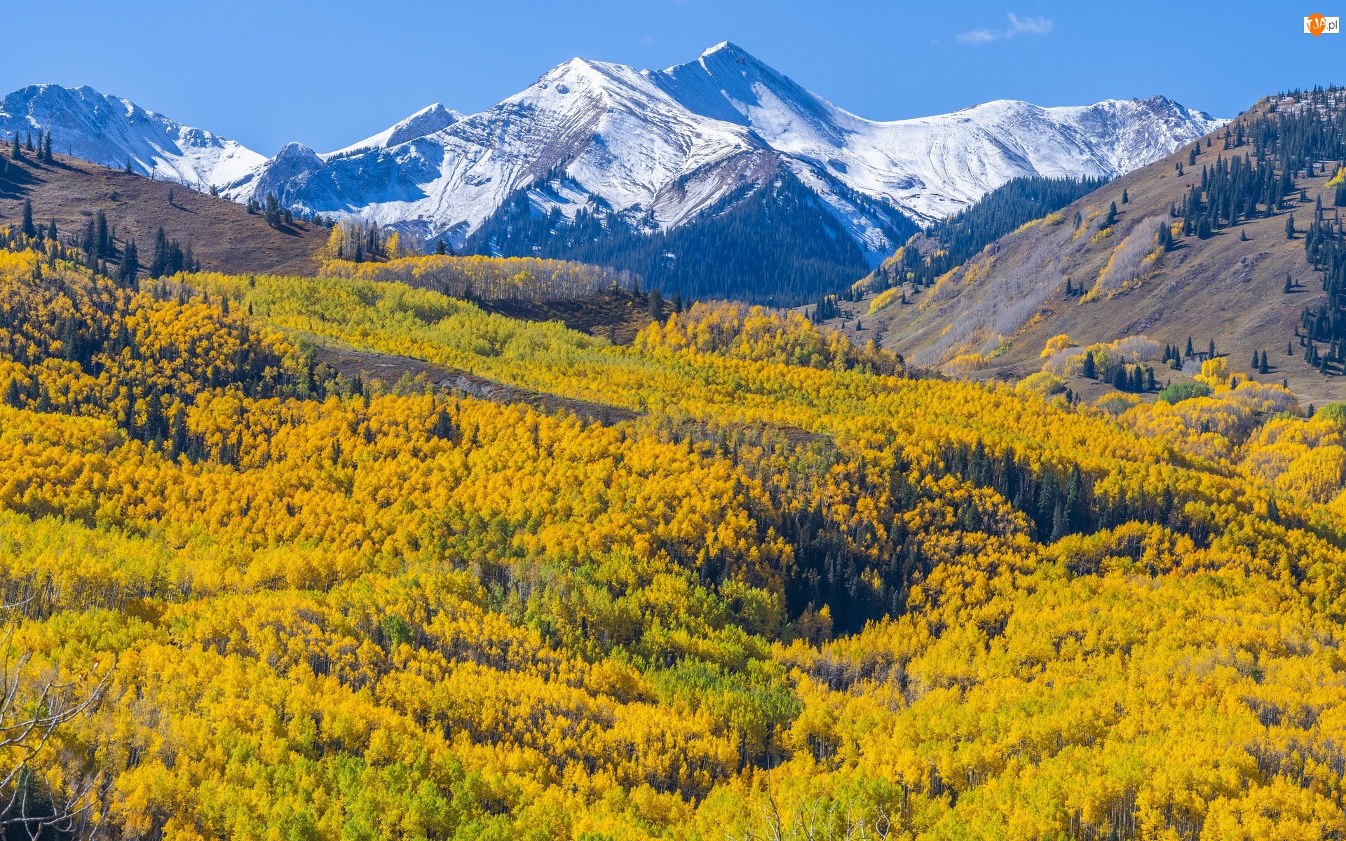 Kolorado, Góry, Jesień, Stany Zjednoczone, Drzewa, Las, Capitol Peak