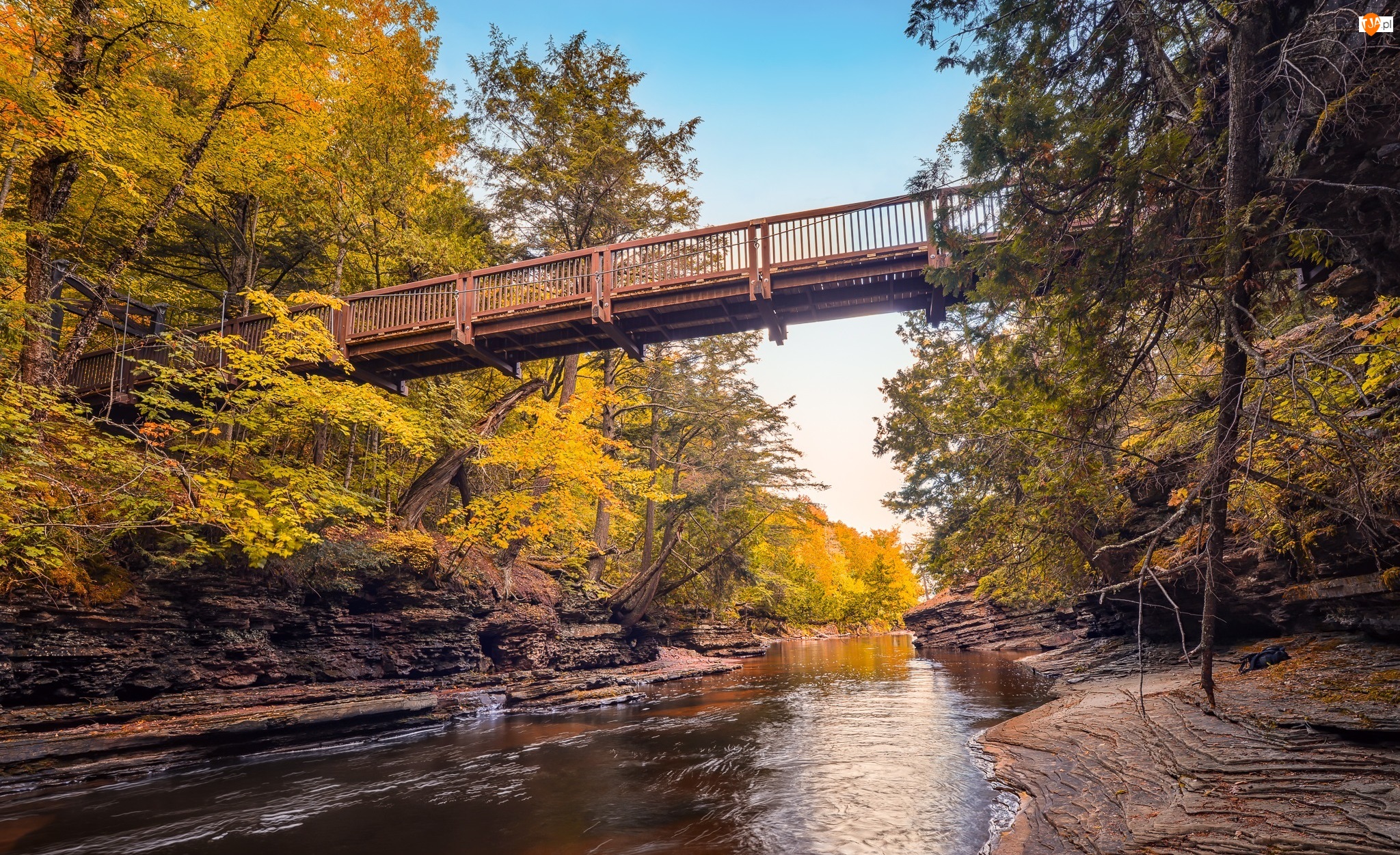 Michigan, Rzeka, Jesień, Stany Zjednoczone, Drzewa, Most, Presque Isle River