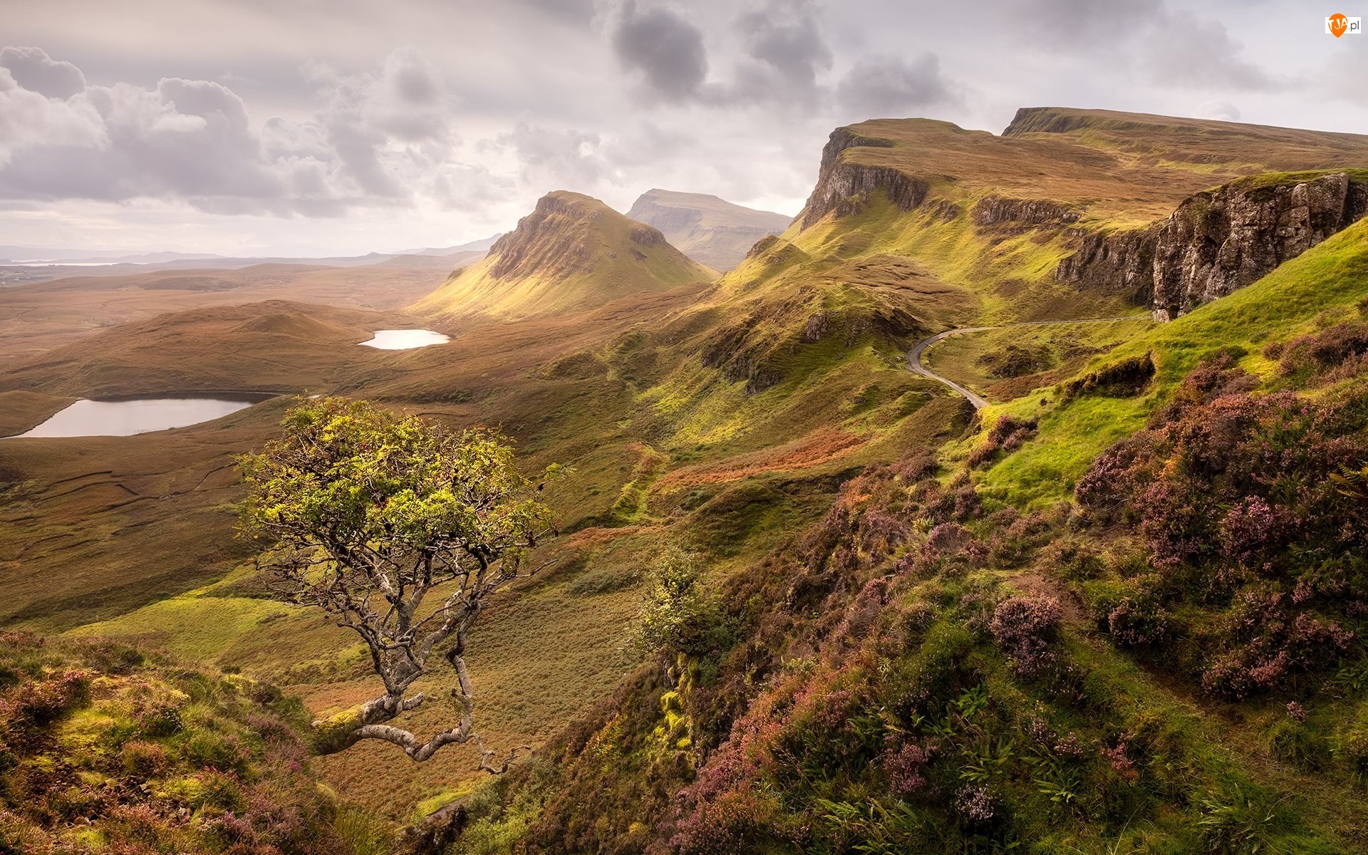 Szkocja, Wzgórza, Quiraing, Wyspa Skye, Wzgórze, Chmury, Jeziora, Góry, Drzewo