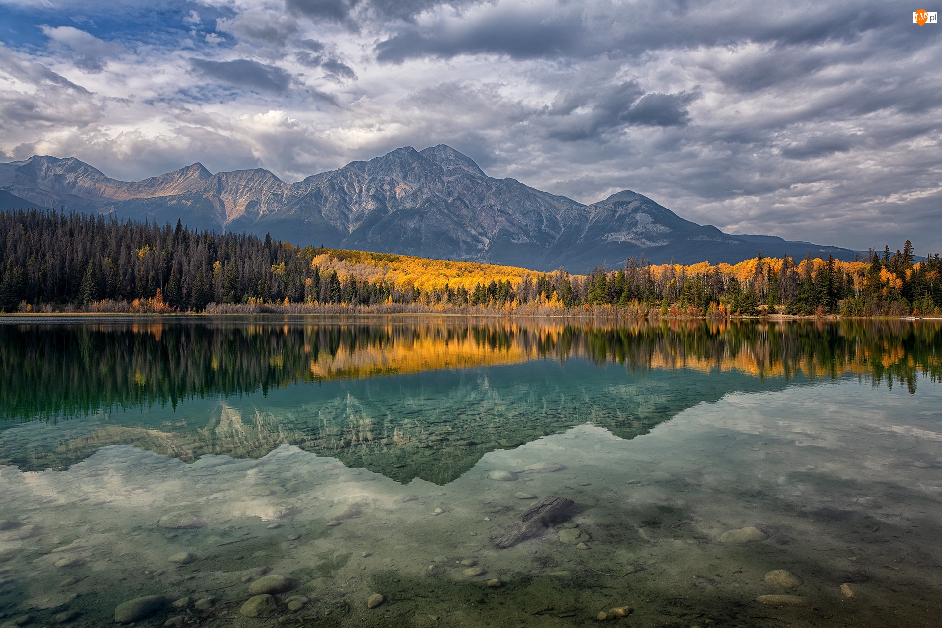 Drzewa, Prowincja Alberta, Góry, Odbicie, Jesień, Park Narodowy Jasper, Jezioro, Kanada, Patricia Lake