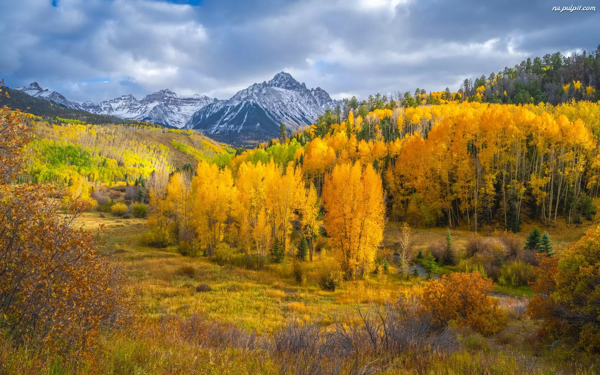 Jesień, Góry, Las, Kolorado, Góra, Drzewa, Stany Zjednoczone, Mount Sneffels