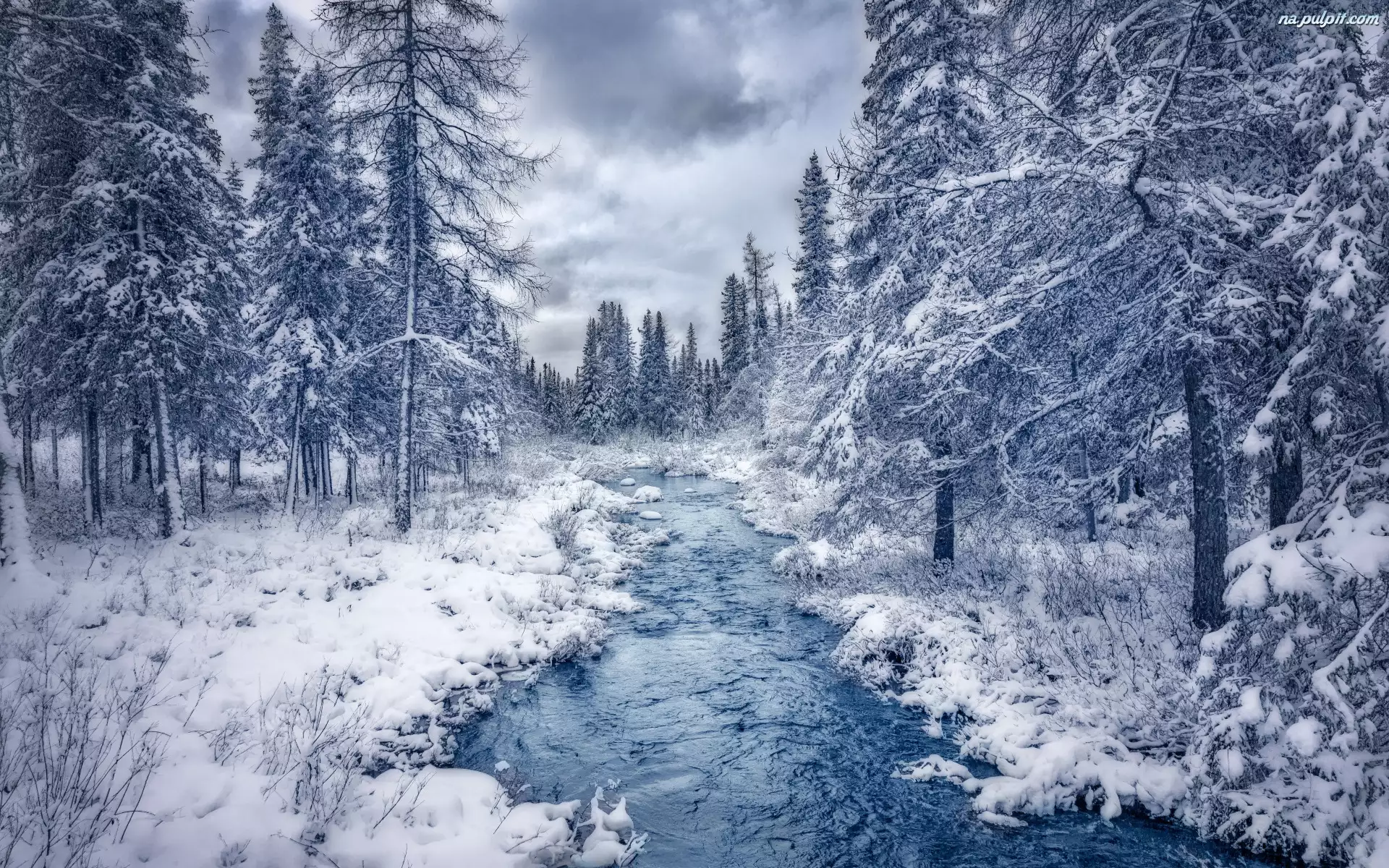 Las, Zima, Drzewa, Chmury, Rzeka, Śnieg