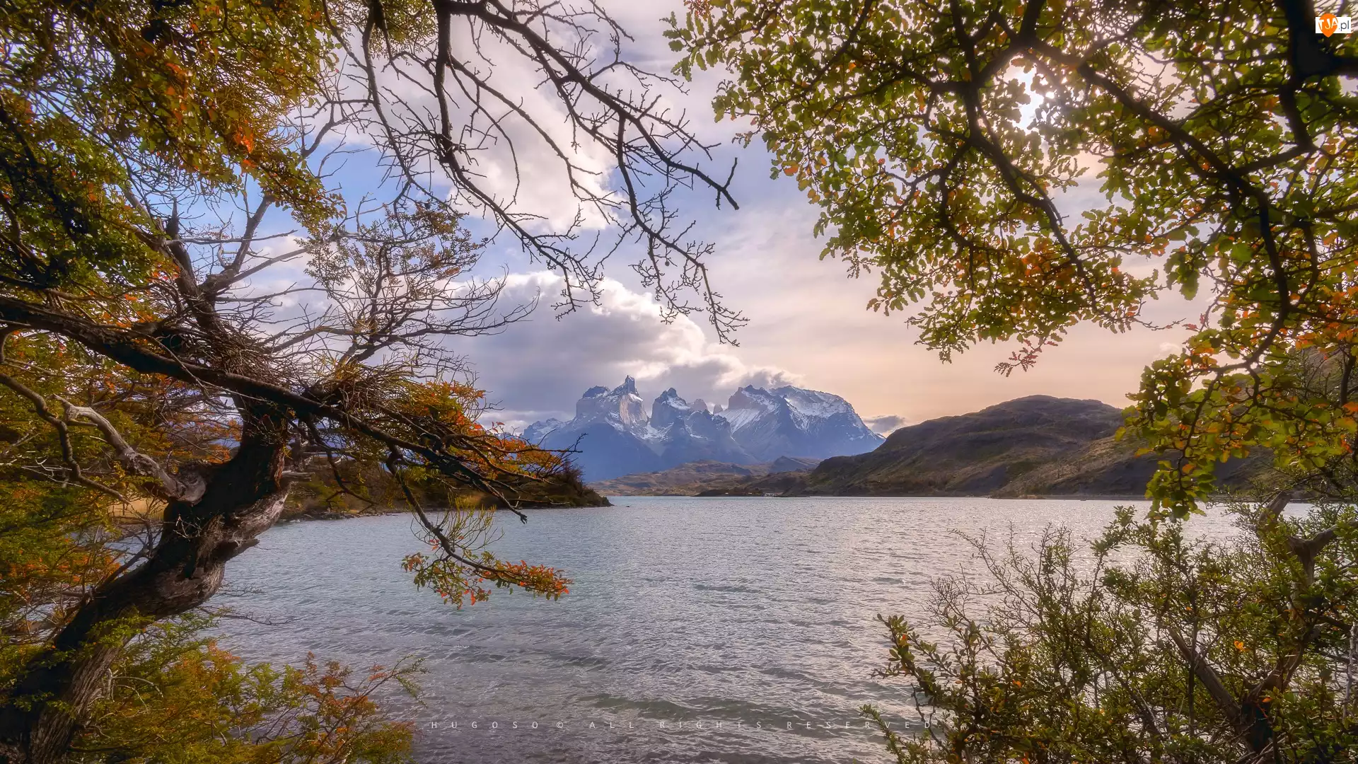 Patagonia, Chile, Góry, Drzewa, Park Narodowy Torres del Paine, Jezioro