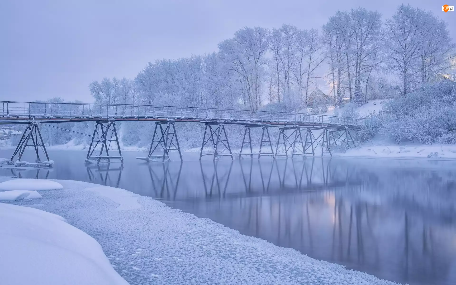 Most, Zima, Rzeka, Drzewa