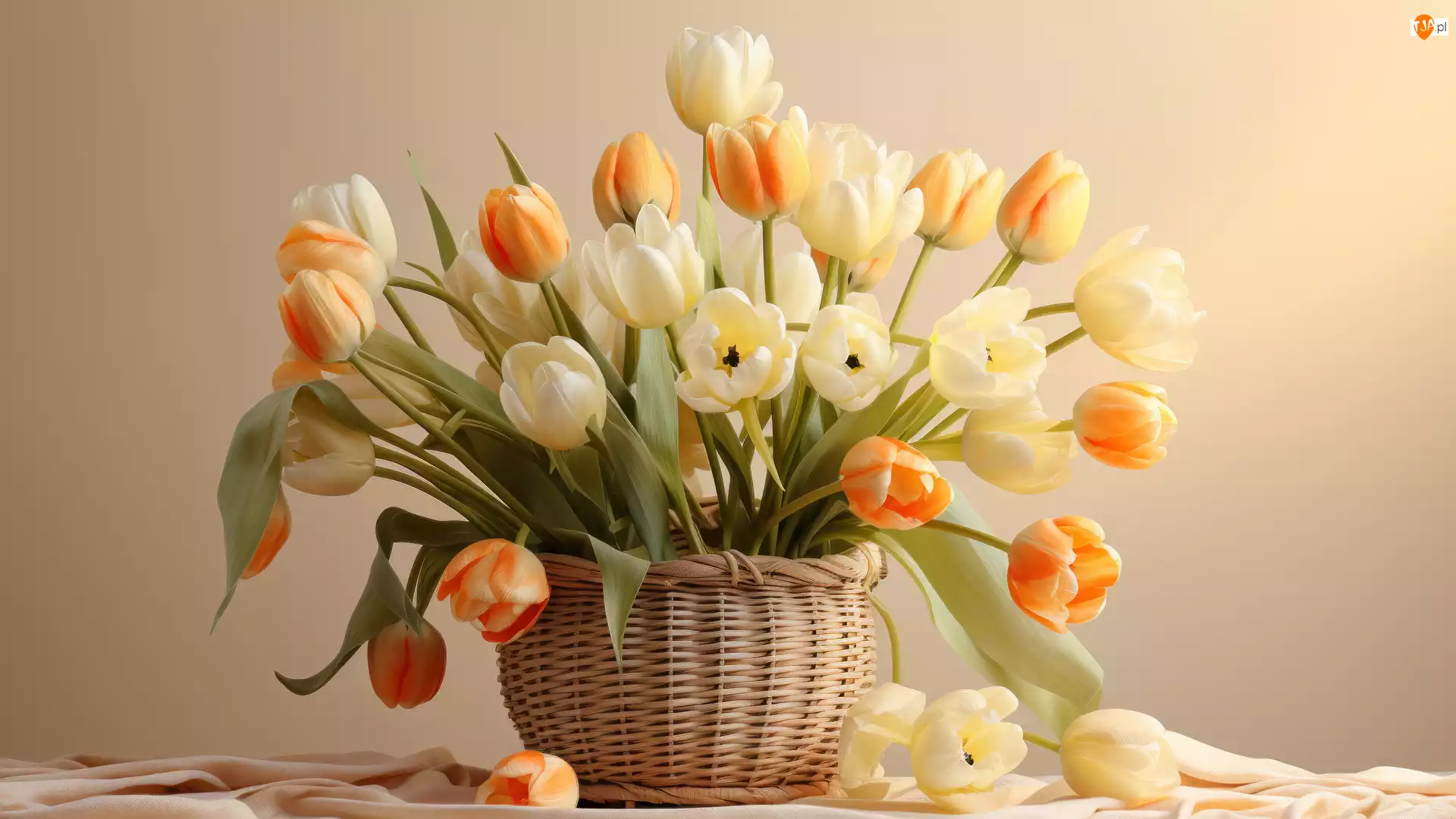 Kolorowe, Kwiaty, Wiklinowy, Materiał, Tulipany, Koszyk