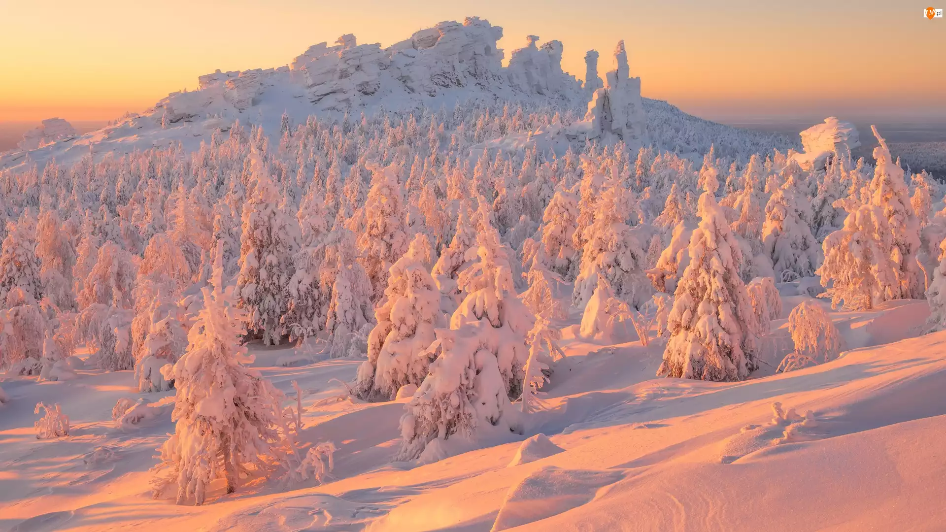 Rosja, Drzewa, Ural, Wschód słońca, Góry, Świerki, Ośnieżone, Zima, Zaspy