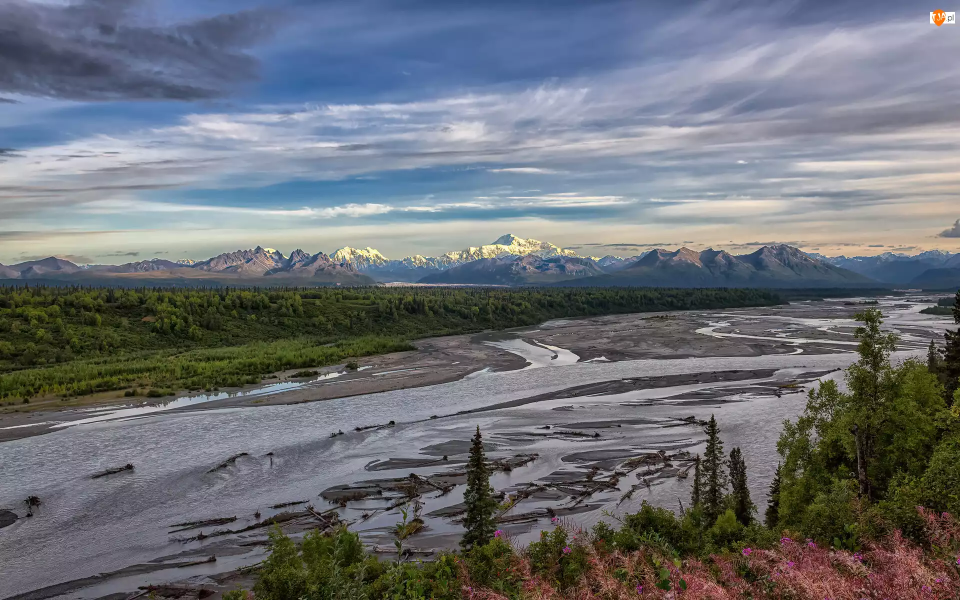 Park Narodowy Denali, Drzewa, Rzeka, Alaska, Góry, Chulitna River, Stany Zjednoczone, Alaska Range