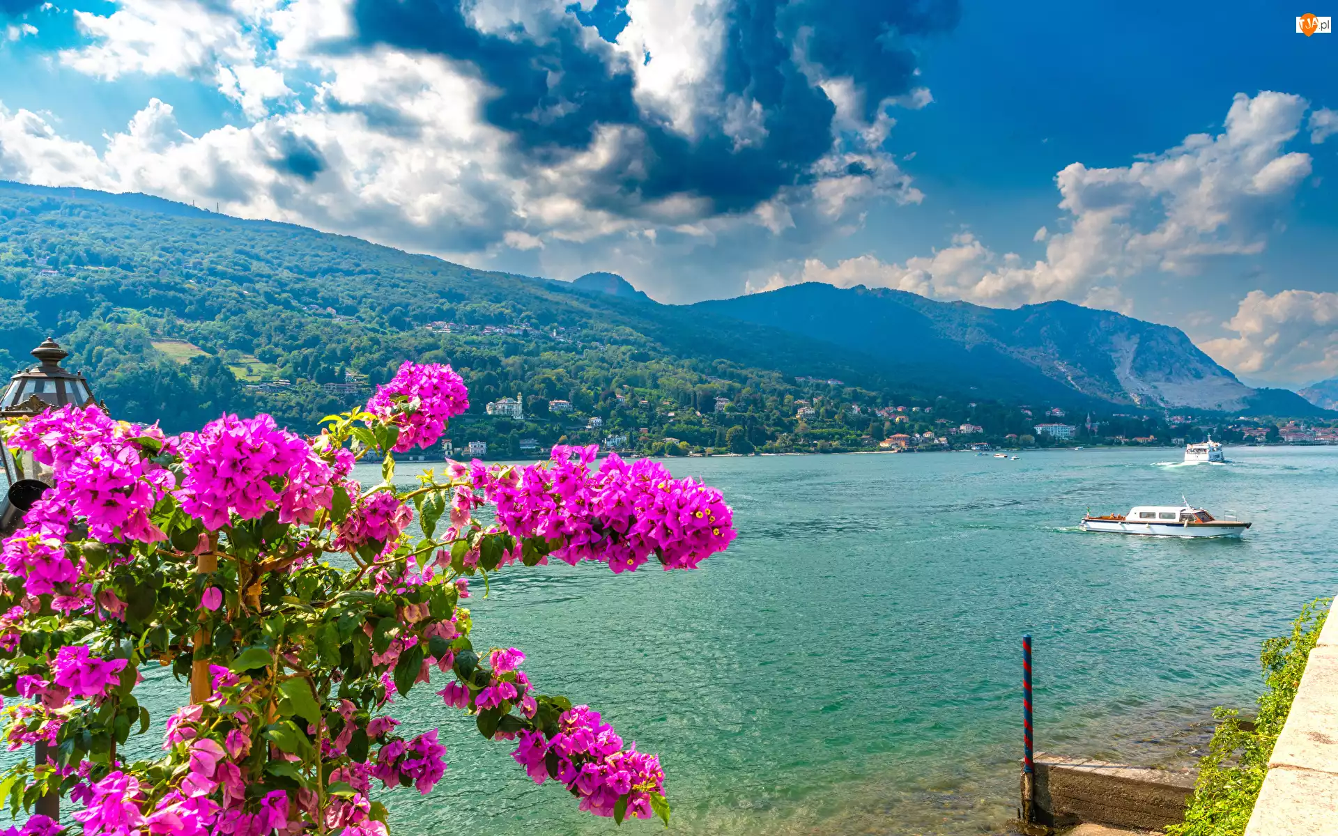 Lago Maggiore, Jezioro, Kwiaty, Włochy, Chmury, Niebo, Góra