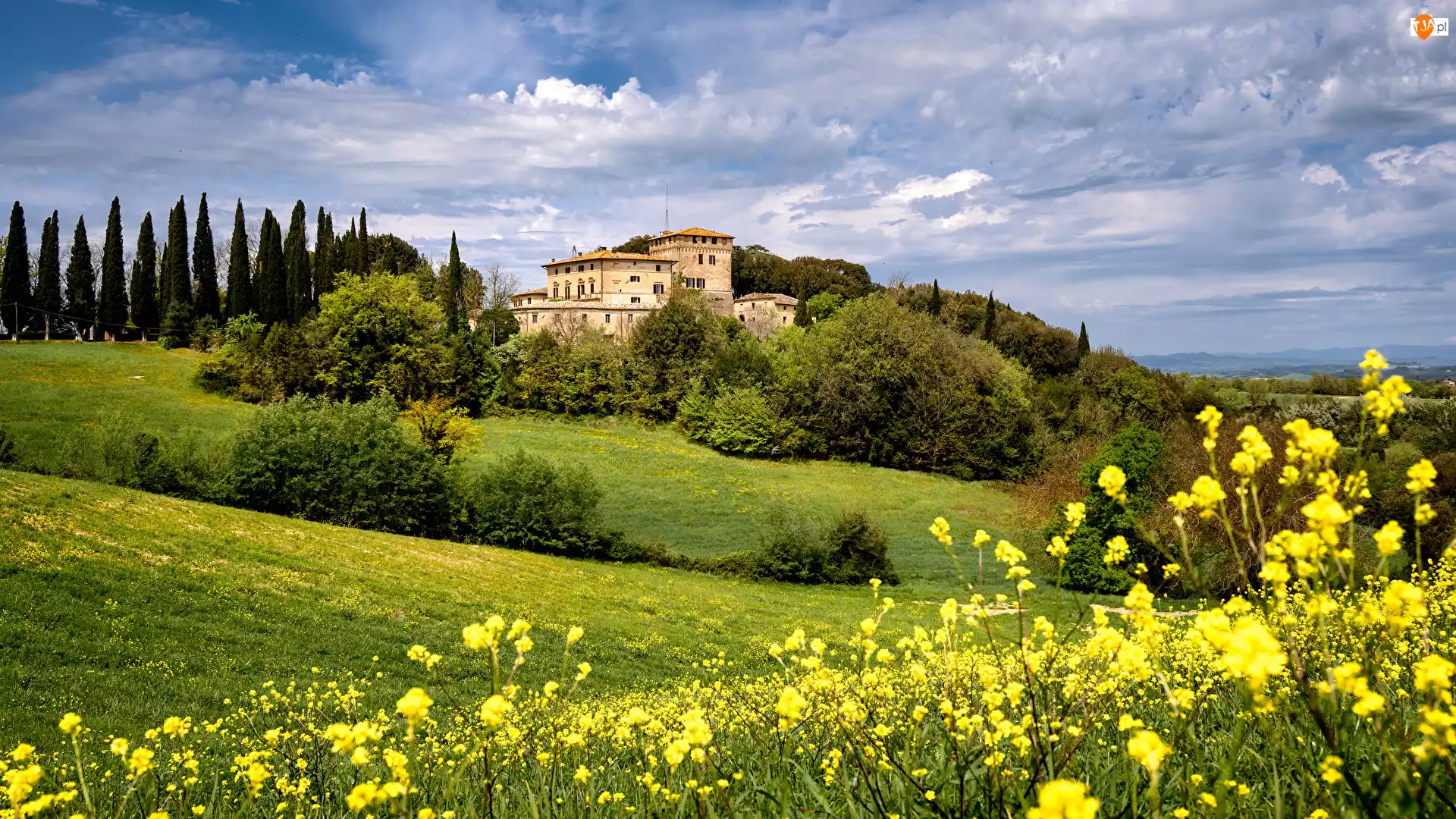 Wzgórza, Toskania, Drzewa, Łąka, Kwiaty, Prowincja Siena, Toskania, Włochy, Villa Montesoli