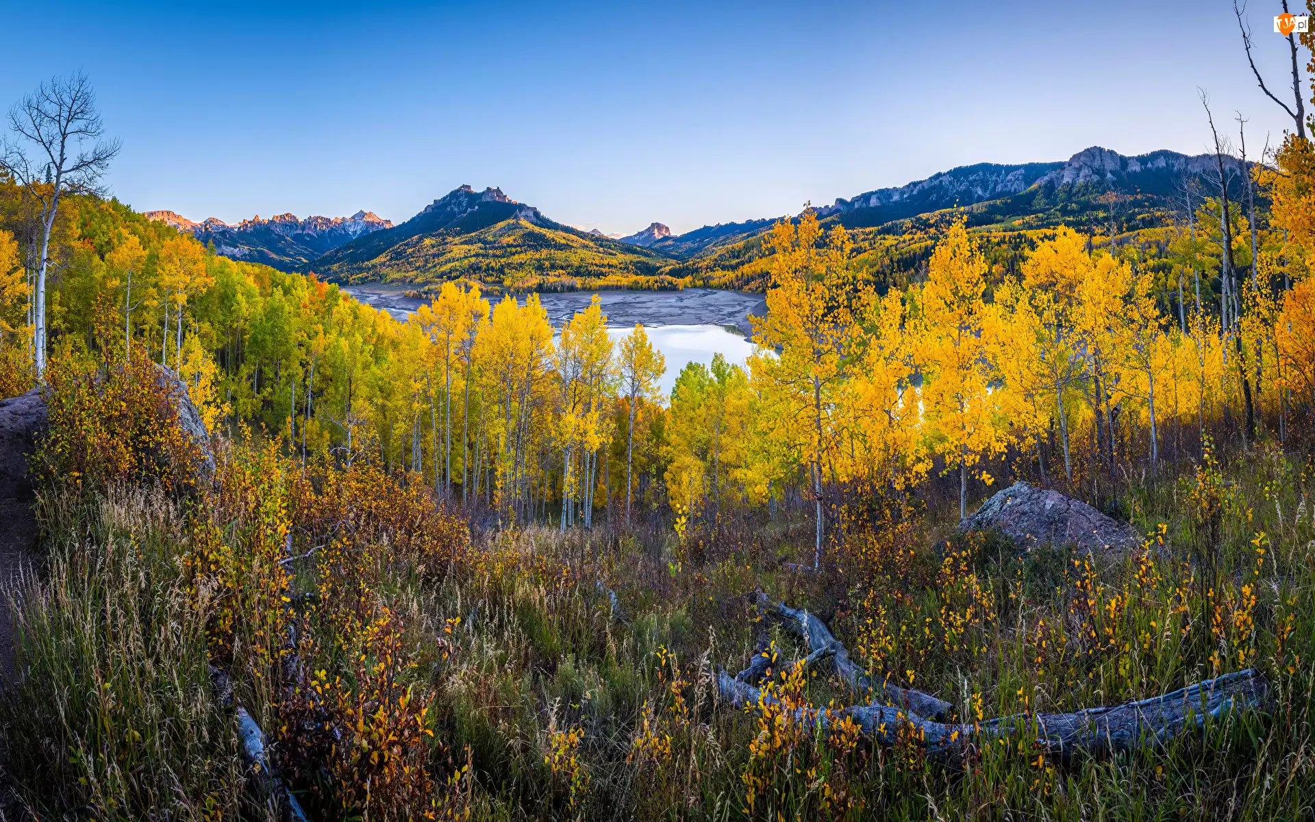 Las, Stany Zjednoczone, Owl Creek Pass, Drzewo, Kolorado, Góry, Jesień, Silver Jack Reservoir