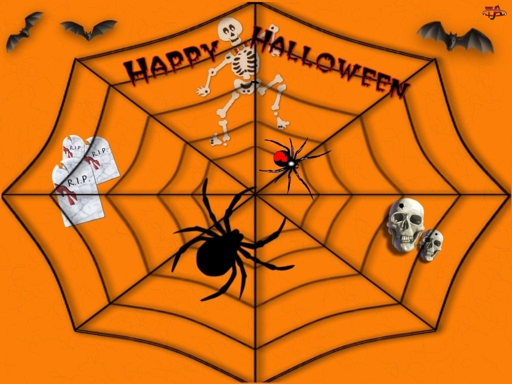 pajęczyna, Halloween, pająki