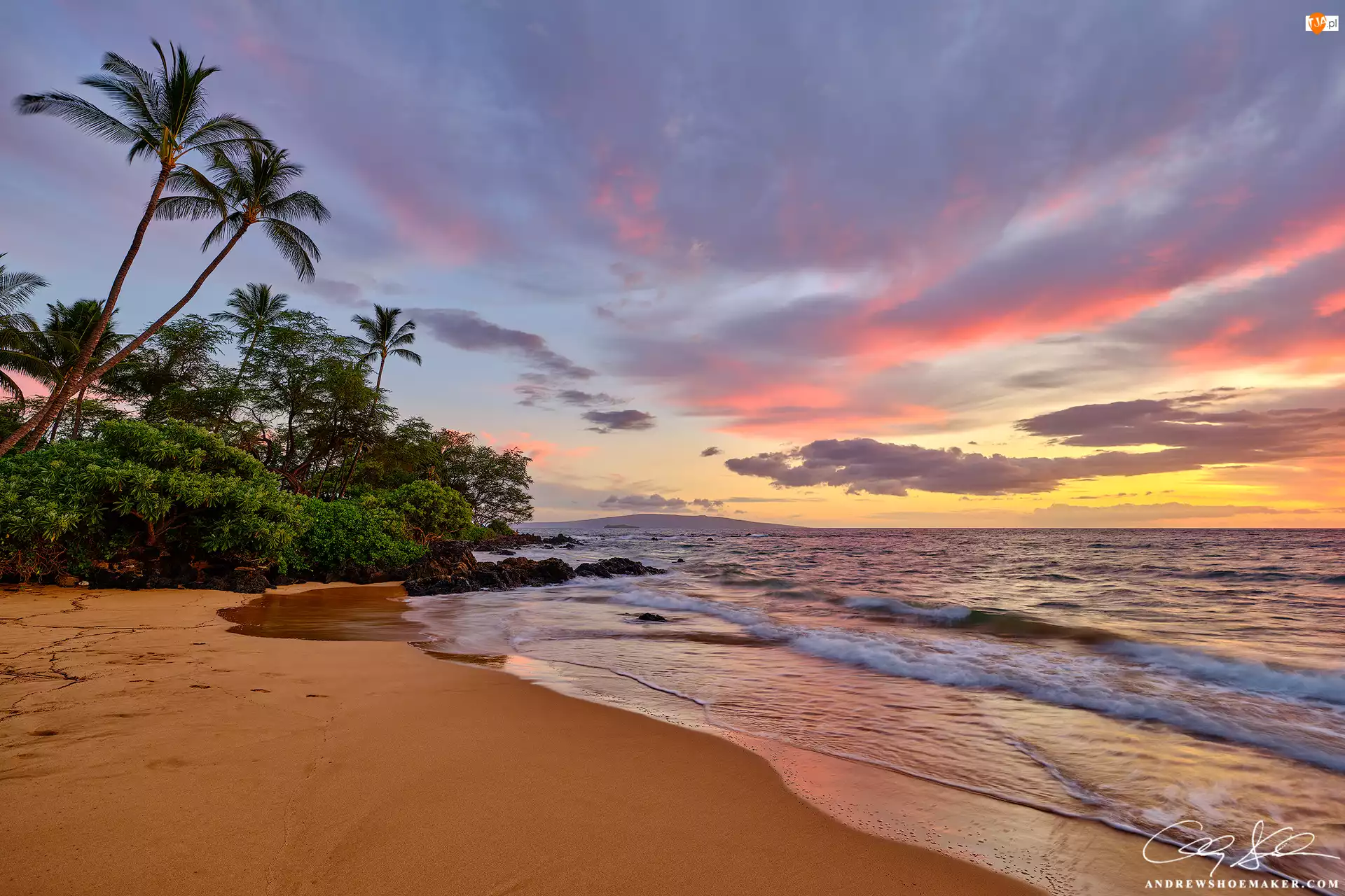 Maui, Zachód słońca, Palmy, Hawaje, Plaża, Chmury, Stany Zjednoczone, Morze
