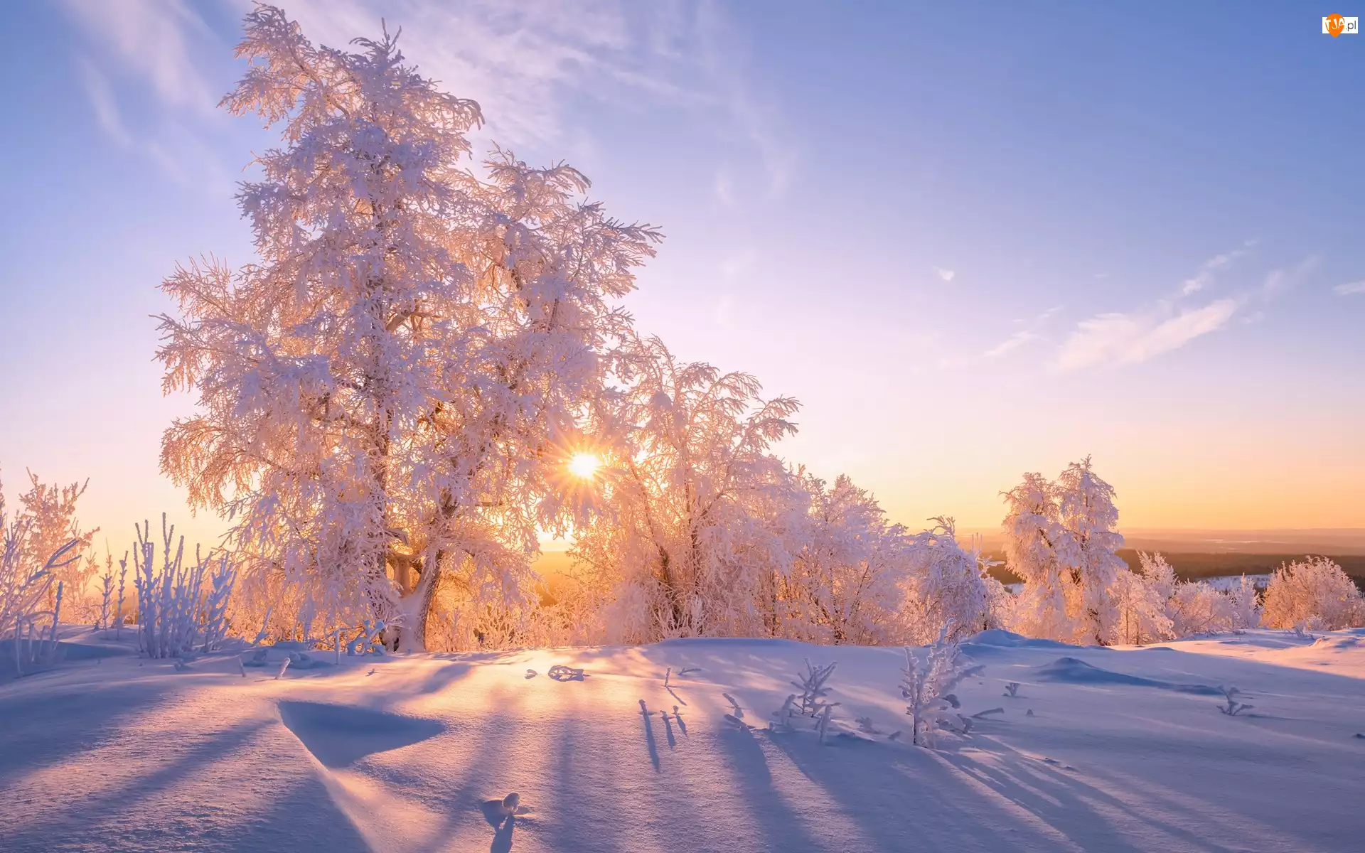 Śnieg, Zima, Drzewa, Ośnieżone, Promienie słońca