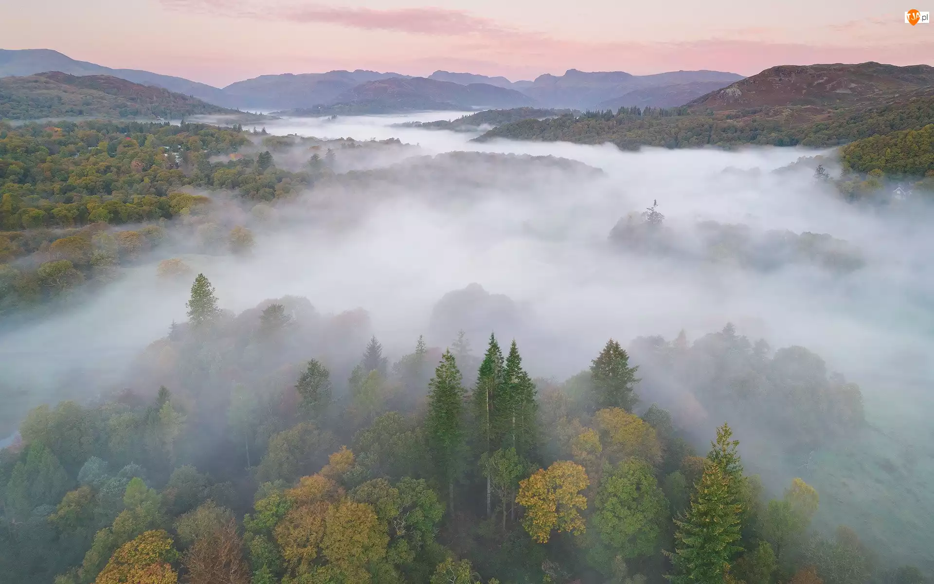 Drzewa, Mgła, Anglia, Lasy, Kumbria, Park Narodowy Lake District, Wzgórza