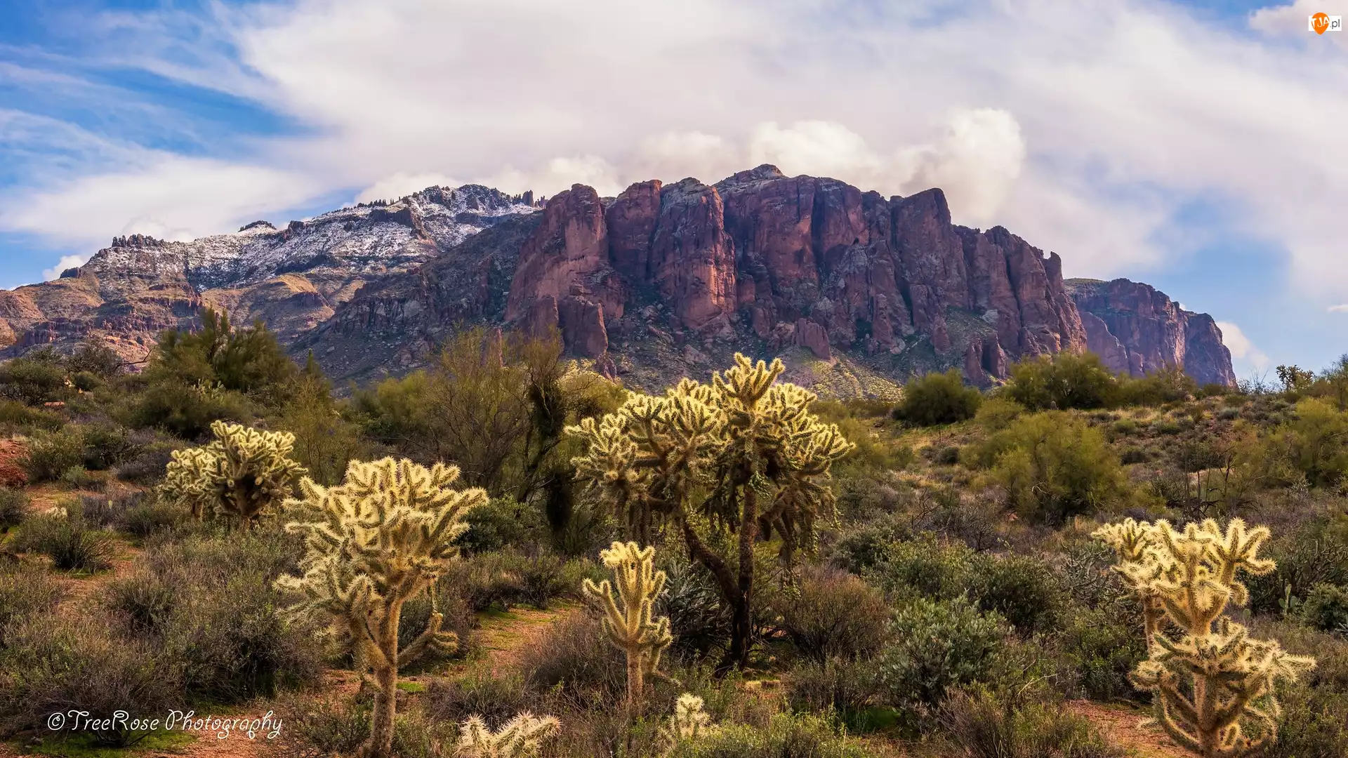 Arizona, Góry, Kaktusy, Stany Zjednoczone, Roślinność, Skały, Superstition Mountains