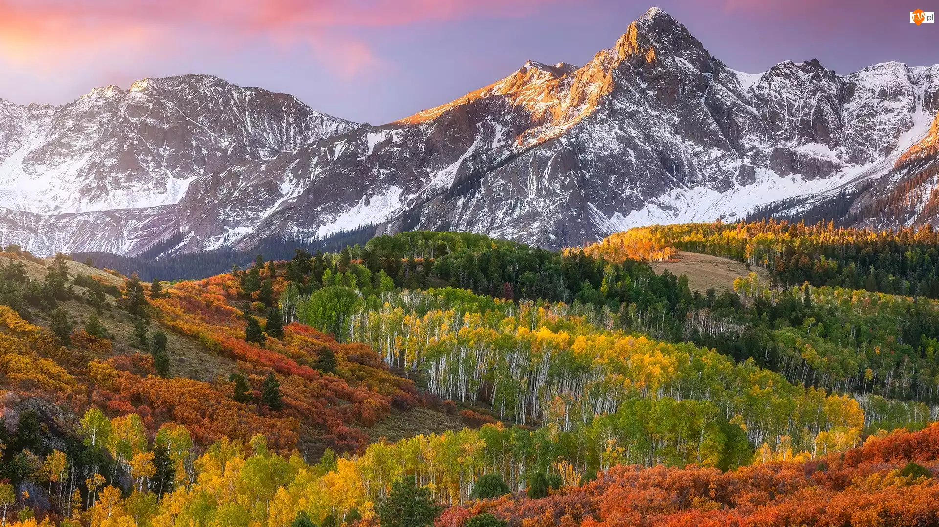 Jesień, Stany Zjednoczone, Góra, Drzewa, Kolorado, Mount Sneffels, Roślinność, Góry