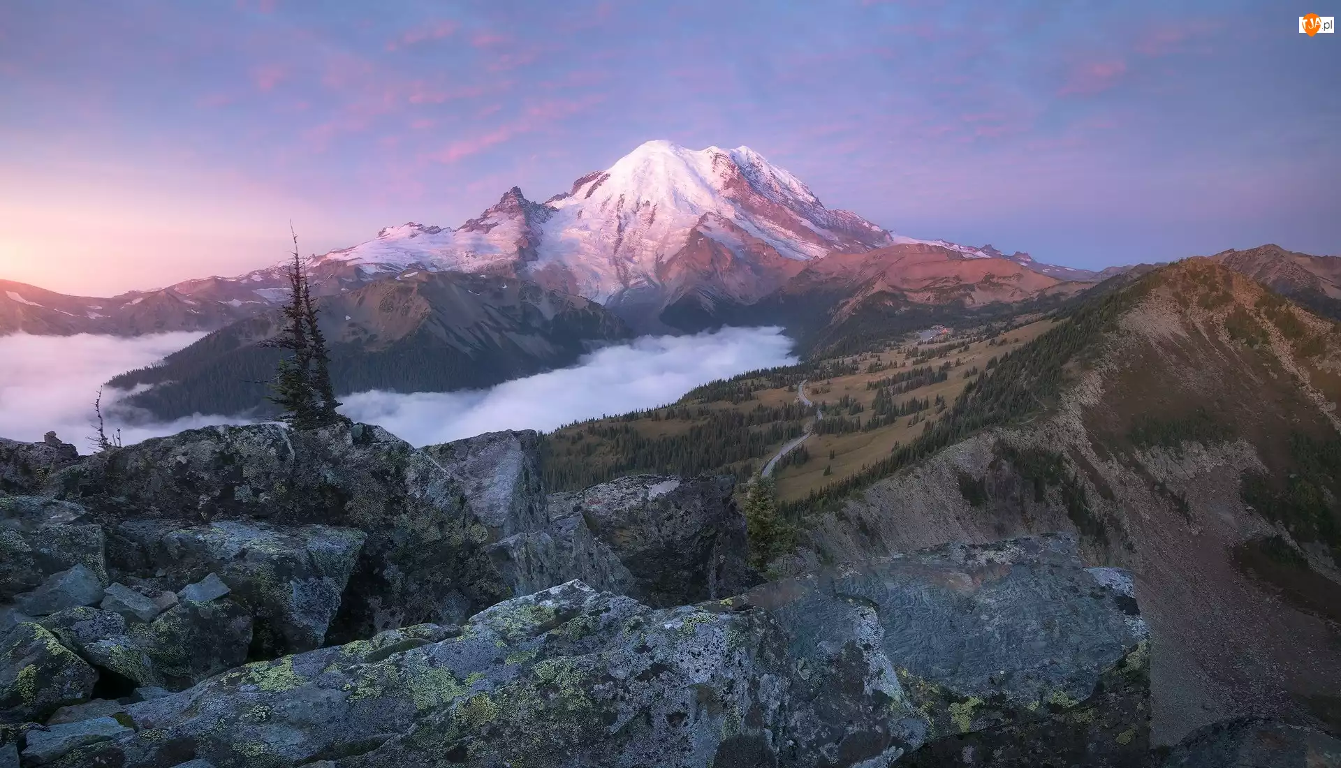 Mgła, Góra, Las, Stan Waszyngton, Mount Rainier, Drzewa, Stany Zjednoczone, Park Narodowy Mount Rainier