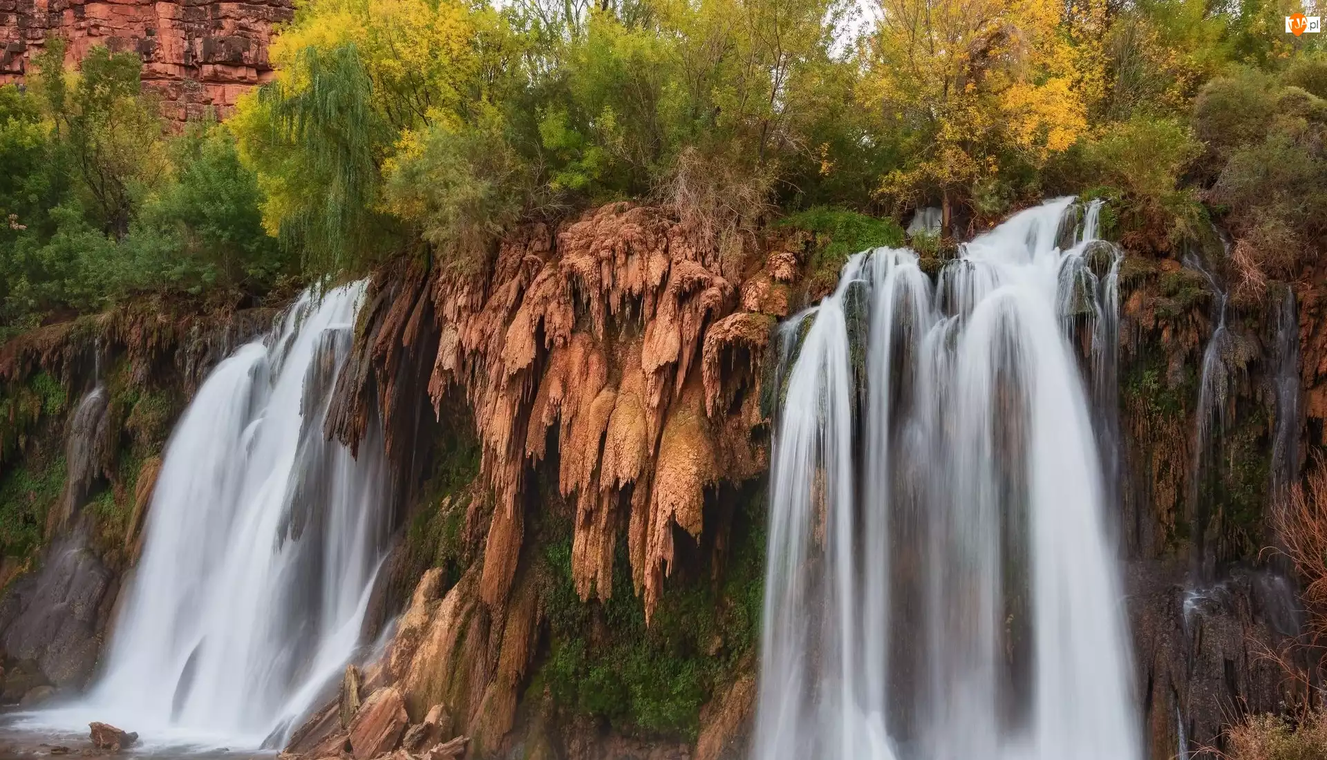 Wodospad, Roślinność, Arizona, Stany Zjednoczone, Fifty Foot Falls