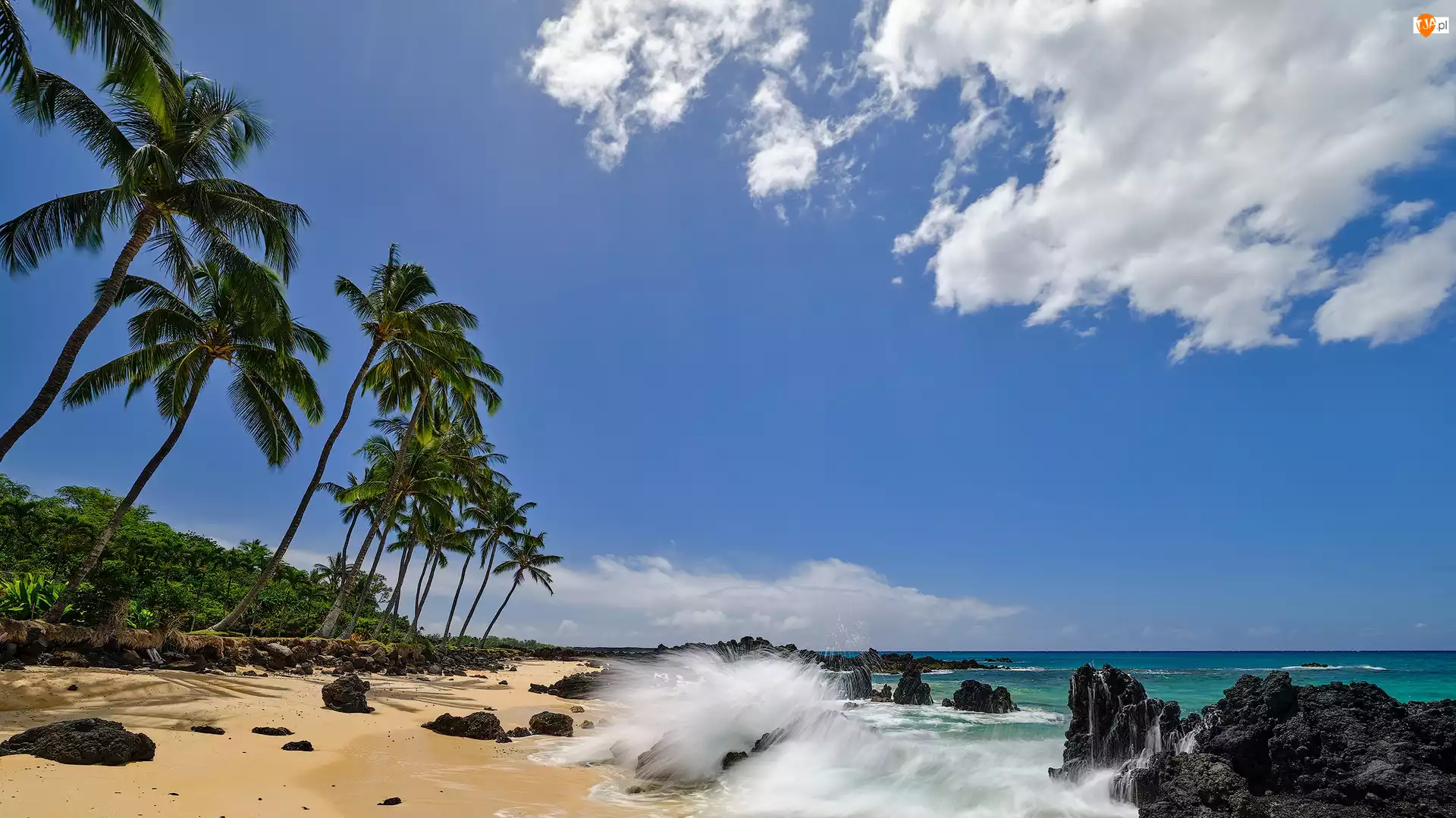Maui, Morze, Niebo, Hawaje, Palmy, Skały, Plaża
