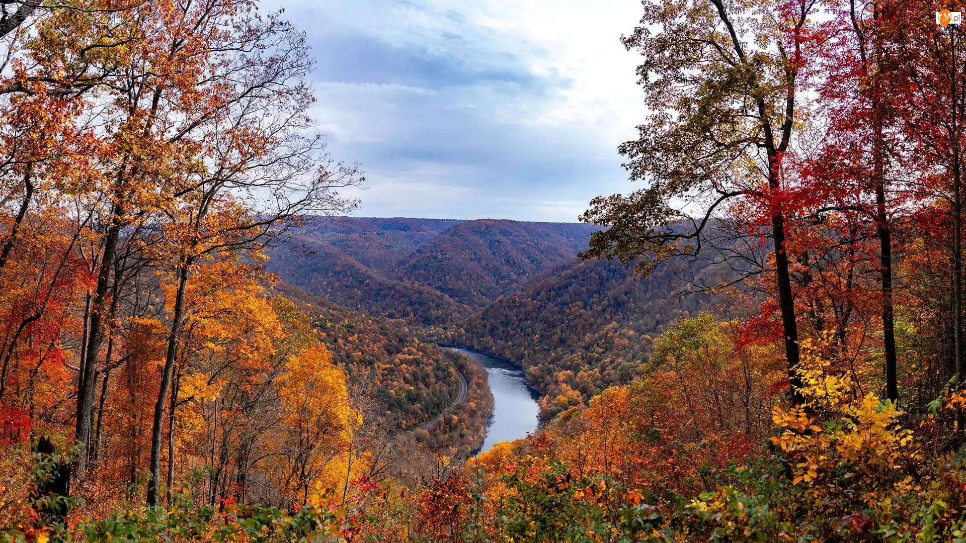 Jesień, Stany Zjednoczone, Rzeka, Drzewa, Wirginia Zachodnia, New River Gorge Bridge, Lasy, Wąwóz