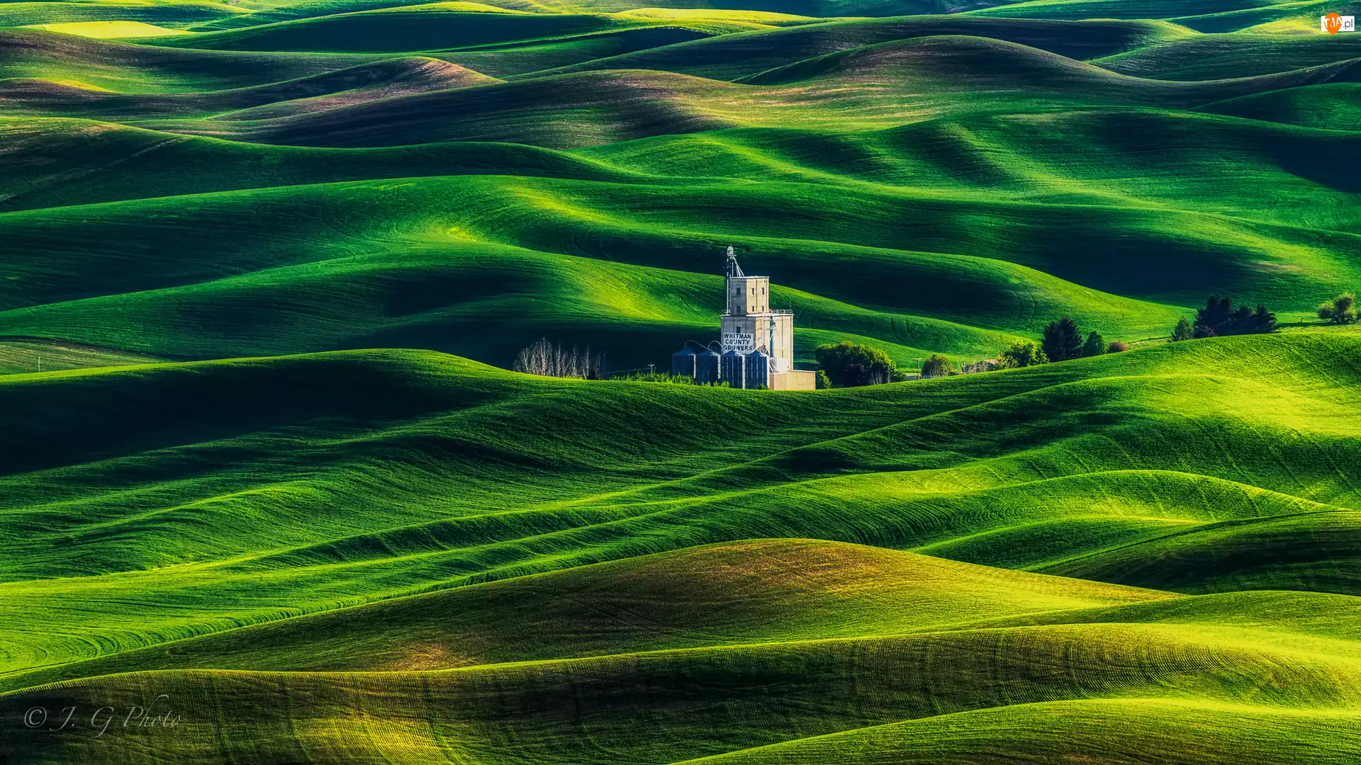 Stany Zjednoczone, Drzewa, Stan Waszyngton, Steptoe Butte State Park, Region Palouse, Łąki, Pola, Wzgórza, Budowla