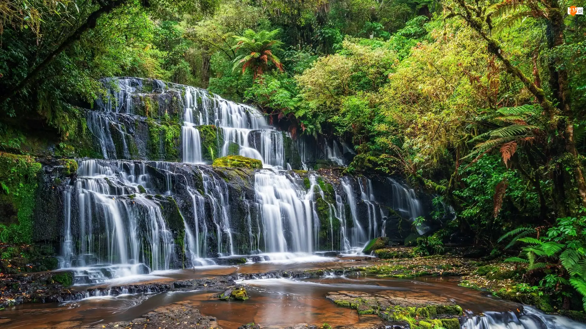 Nowa Zelandia, Purakaunui Falls, Rośliny, Drzewa, Zielone, Skały, Rzeka, Wodospad, Las