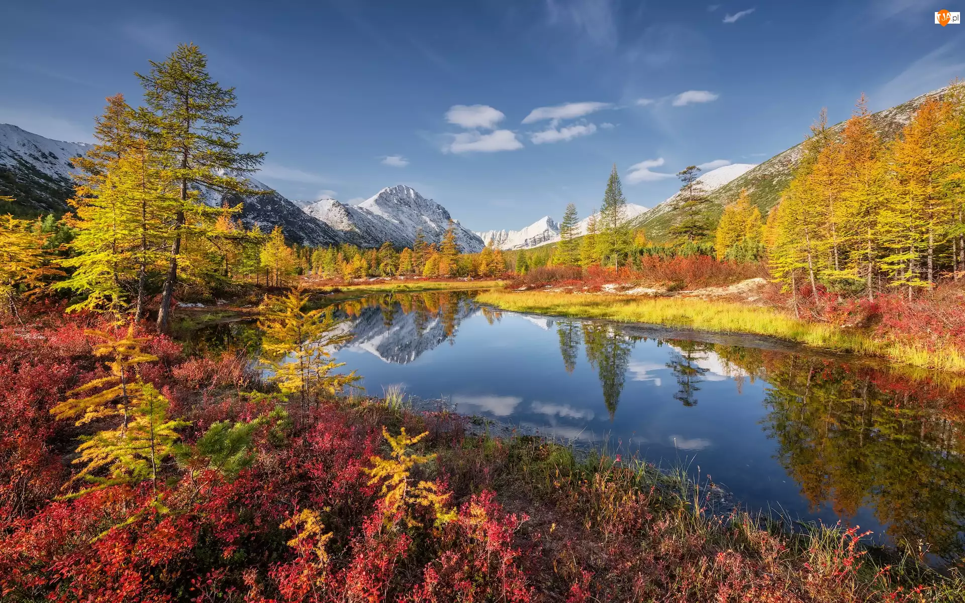 Jesień, Rosja, Rzeka, Drzewa, Kołyma, Nevedomy Creek, Roślinność, Góry Kołymskie