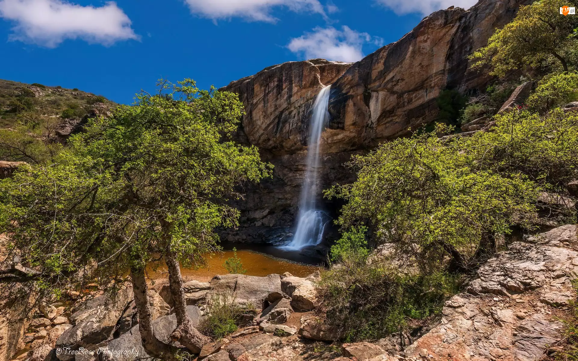 Arizona, Stany Zjednoczone, Wodospad, Drzewa, Skały, Chiva Falls