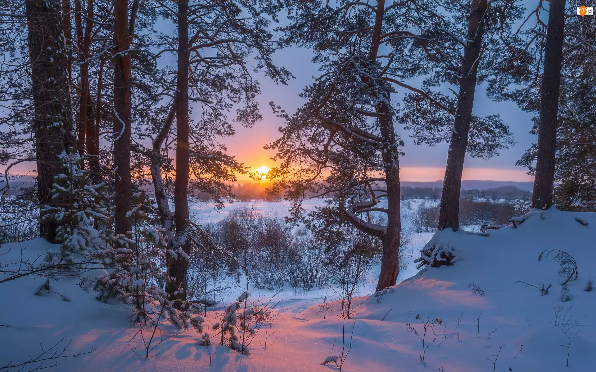 Słońce, Zachód słońca, Śnieg, Zima, Drzewa