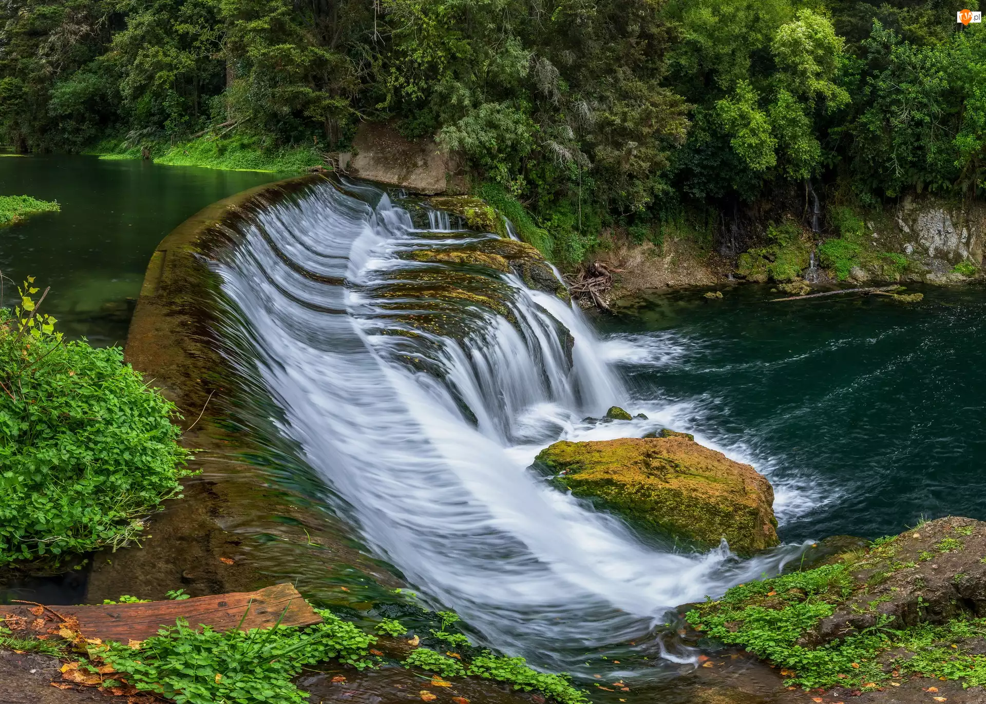 Roślinność, Skały, Mech, Maraetotara Falls, Wyspa Północna, Nowa Zelandia, Rzeka, Hastings, Wodospad, Drzewa