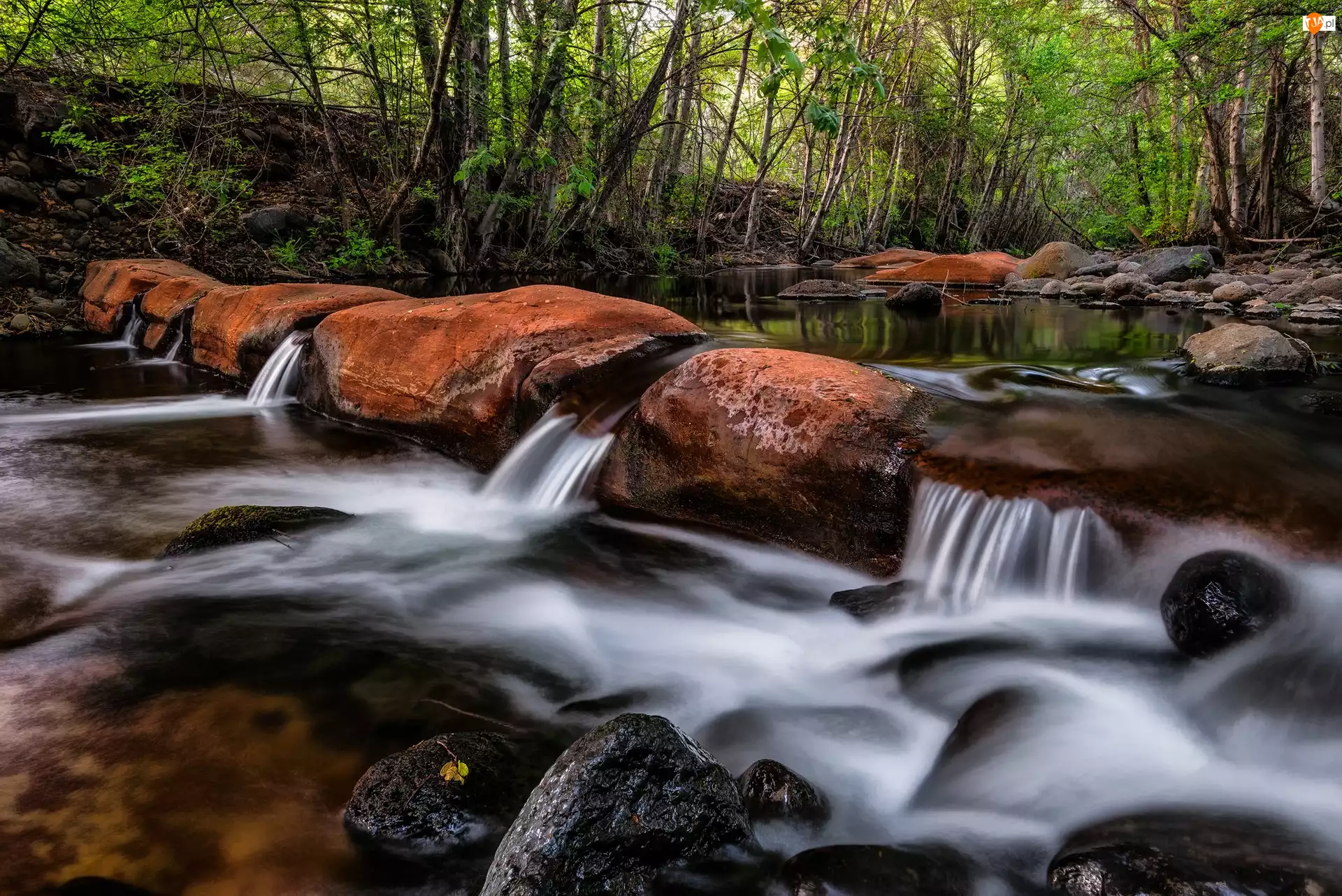 Drzewa, Stan Arizona, Las, Głazy, Kamienie, Dolina Verde Valley, Beaver Creek, Stany Zjednoczone, Rzeka