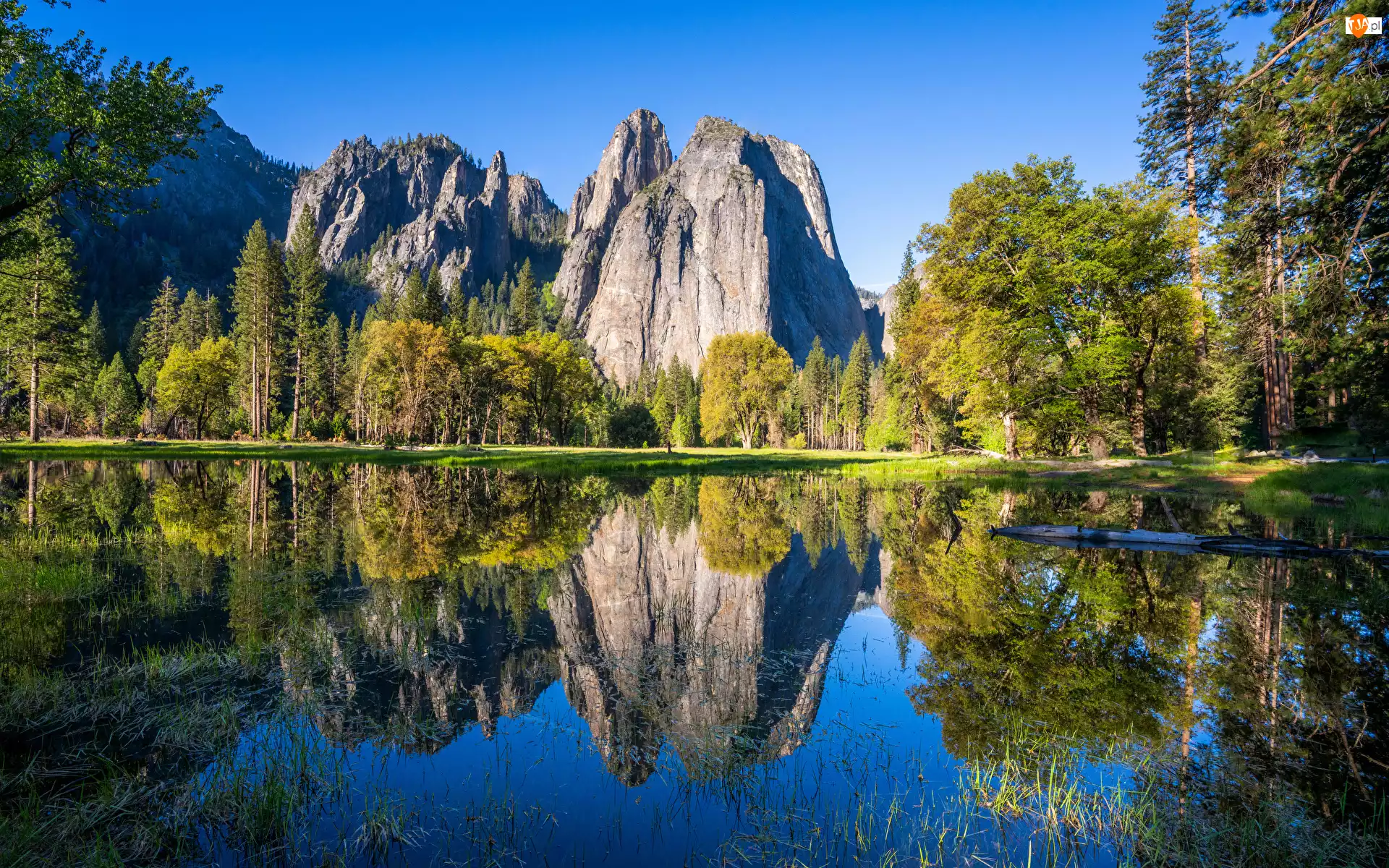 Merced River, Stany Zjednoczone, Góry Sierra Nevada, Drzewa, Kalifornia, Rzeka, Odbicie, Park Narodowy Yosemite