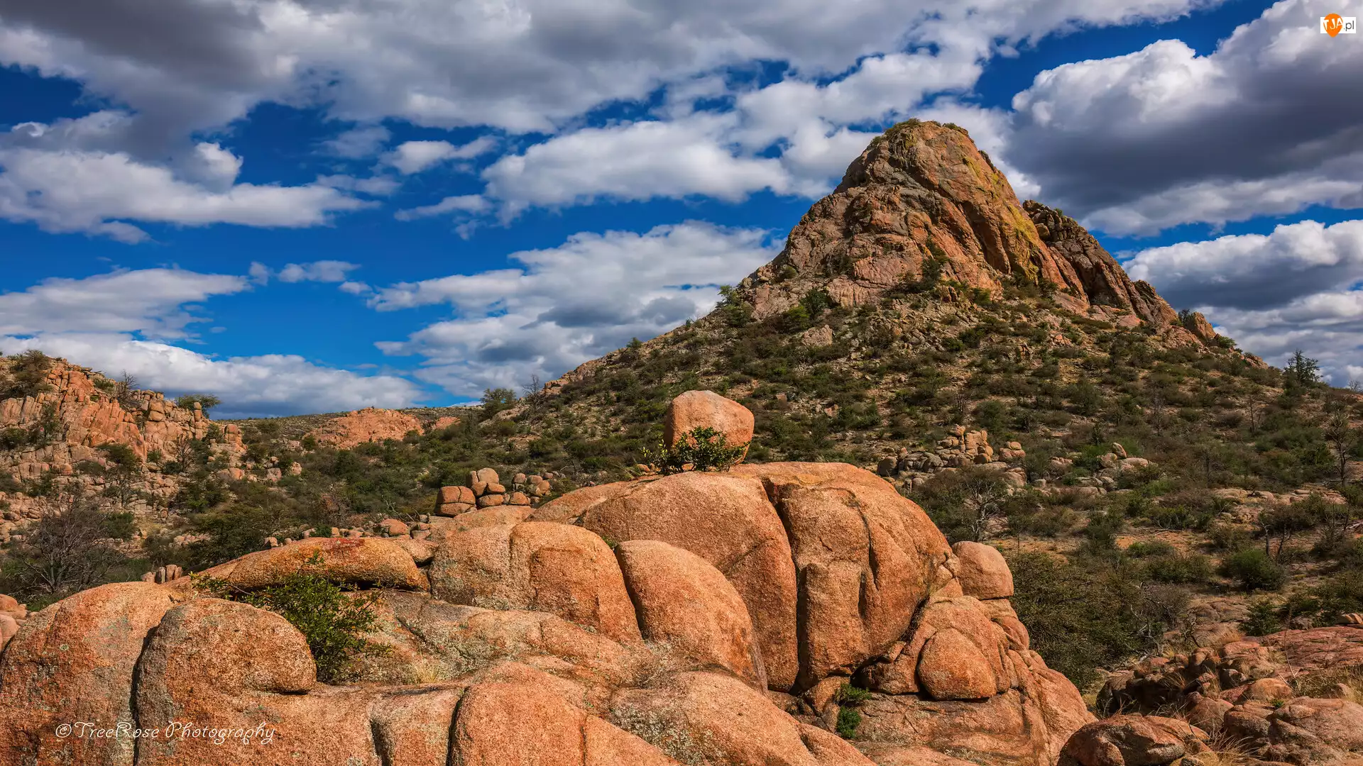 Skały, Granite Dells, Stany Zjednoczone, Góry, Arizona, Prescott, Rośliny