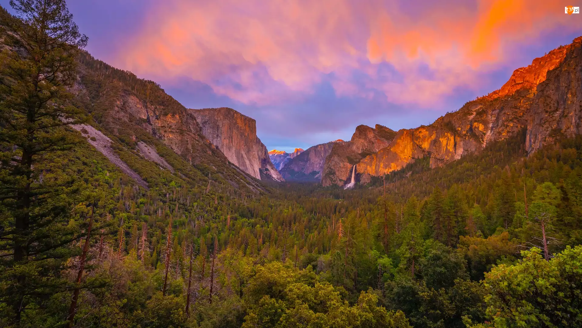 Kalifornia, Park Narodowy Yosemite, Roślinność, Stany Zjednoczone, Drzewa, Skały, Góry