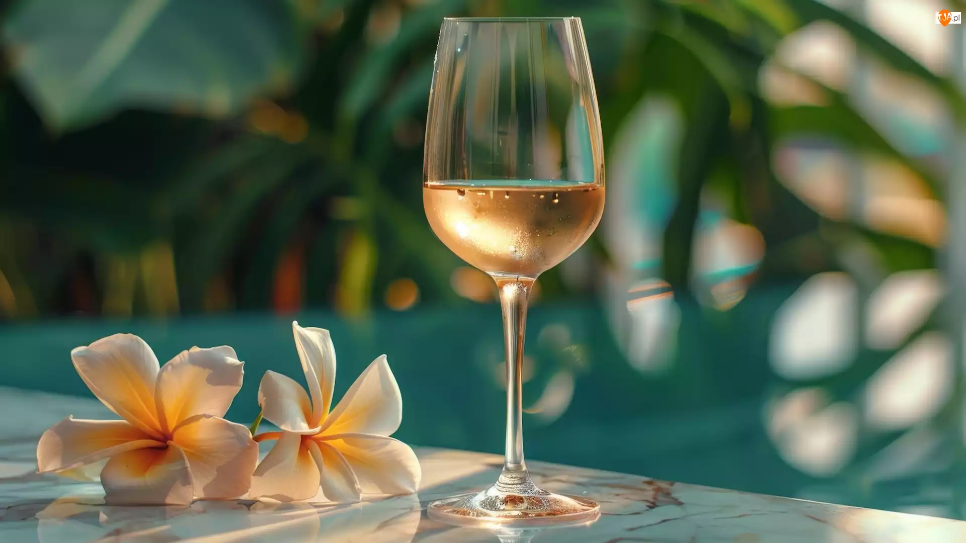 Wino, Plumeria, Kieliszek, Kompozycja, Kwiaty