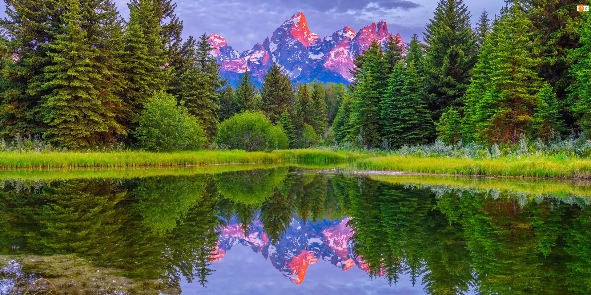 Świerki, Stany Zjednoczone, Góry, Rzeka, Wyoming, Drzewa, Odbicie, Park Narodowy Grand Teton