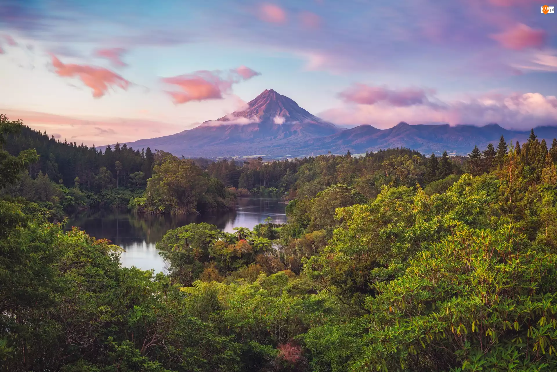 Lasy, Nowa Zelandia, Góra, Drzewa, Wyspa Północna, Mount Taranaki, Rzeka, Park Narodowy Egmont