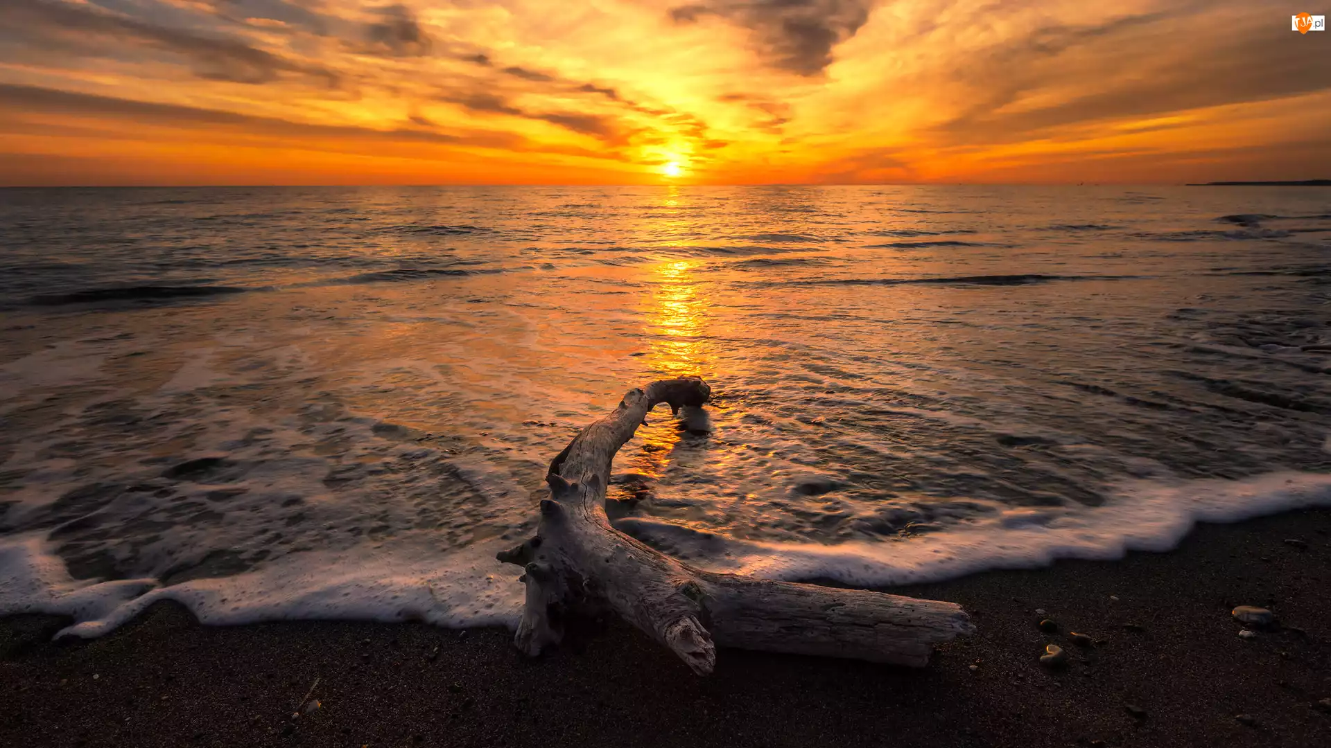 Konar, Uschnięty, Morze, Zachód słońca, Plaża, Fale