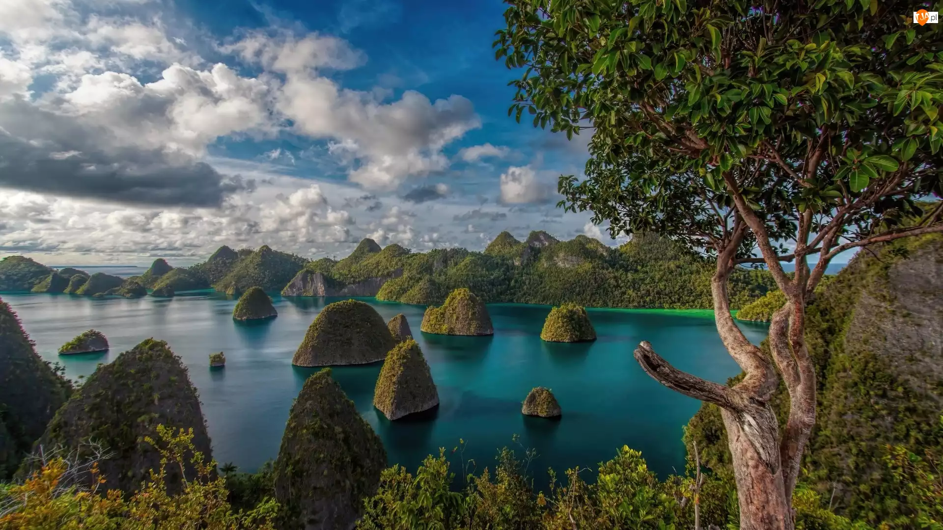 Wyspy, Indonezja, Drzewa, Chmury, Raja Ampat, Morze