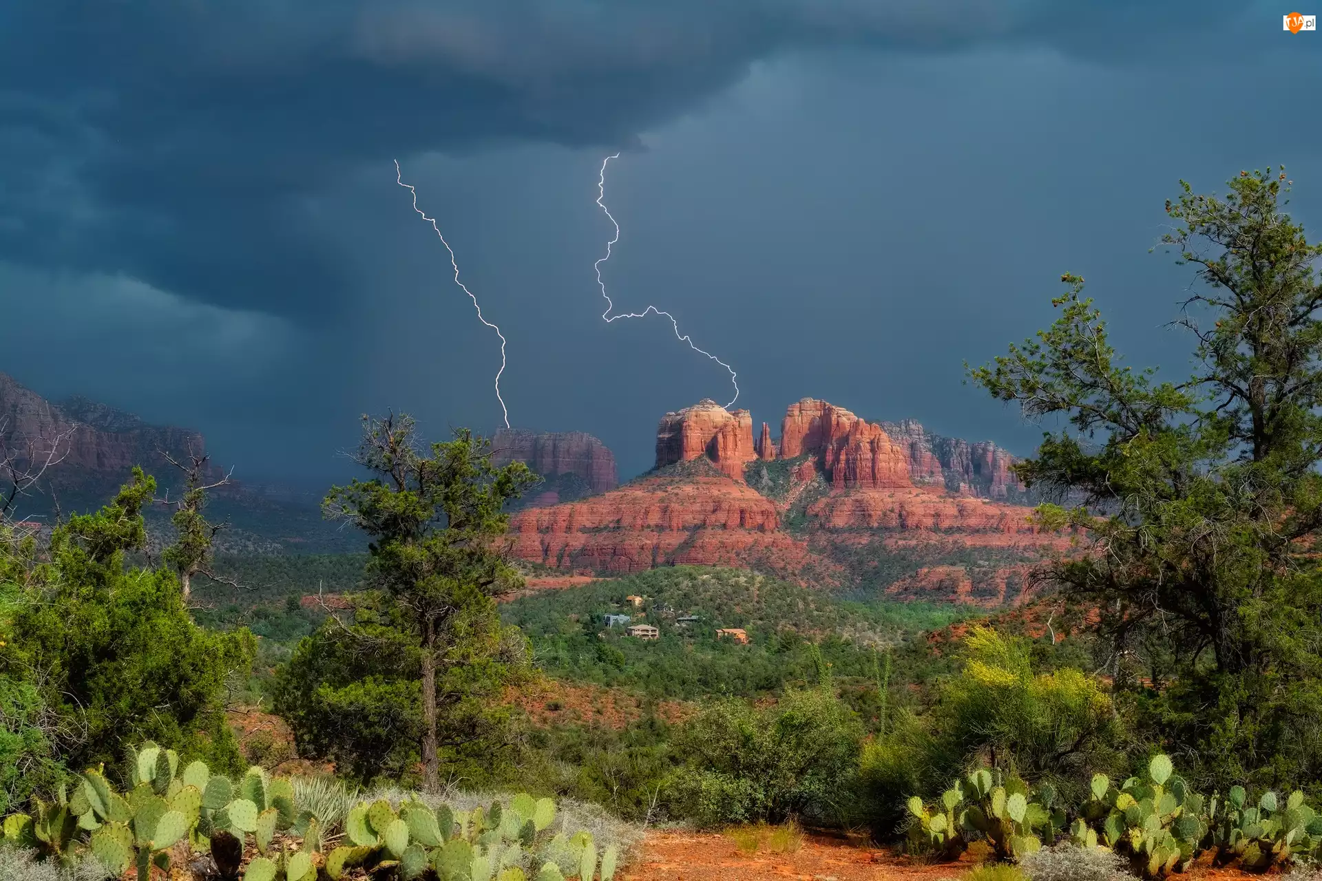 Kaktusy, Pioruny, Błyskawice, Chmury, Arizona, Stany Zjednoczone, Skały, Sedona, Cathedral Rock, Drzewa