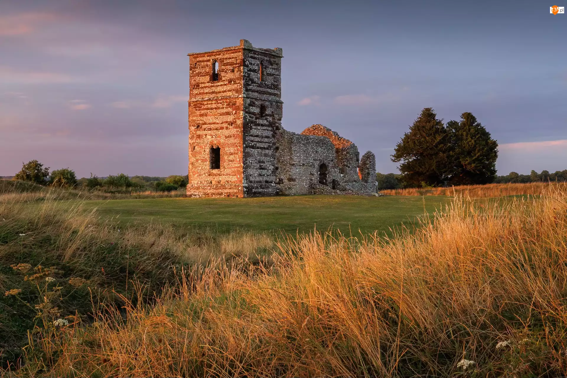 Zachód Słońca, Anglia, Trawa, Ruiny, Drzewa, Wimborne, Kościół, Wielka Brytania, Knowlton Church