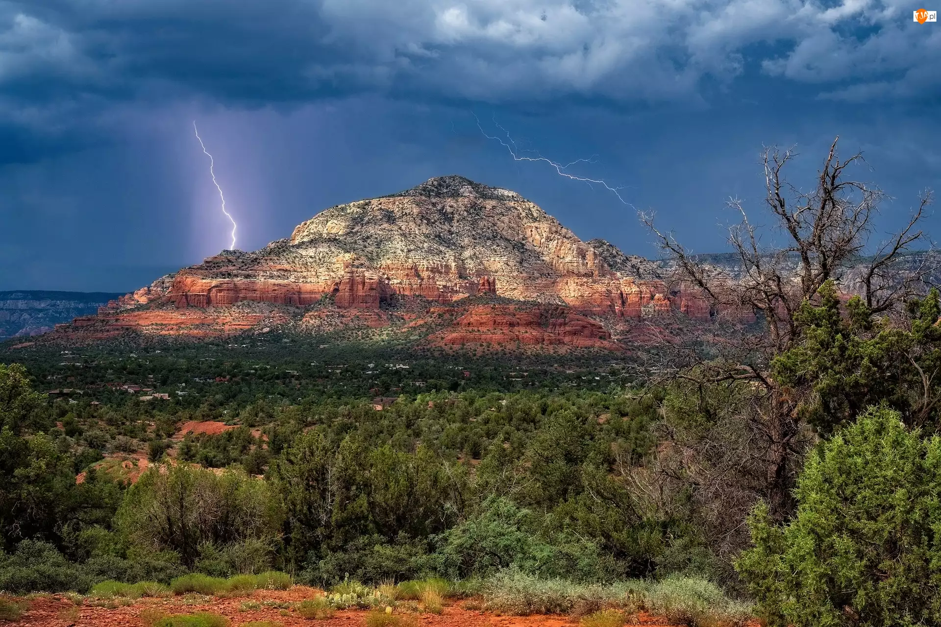 Burza, Drzewa, Chmury, Skały, Stan Arizona, Stany Zjednoczone, Góra, Sedona, Thunder Mountain, Błyskawica