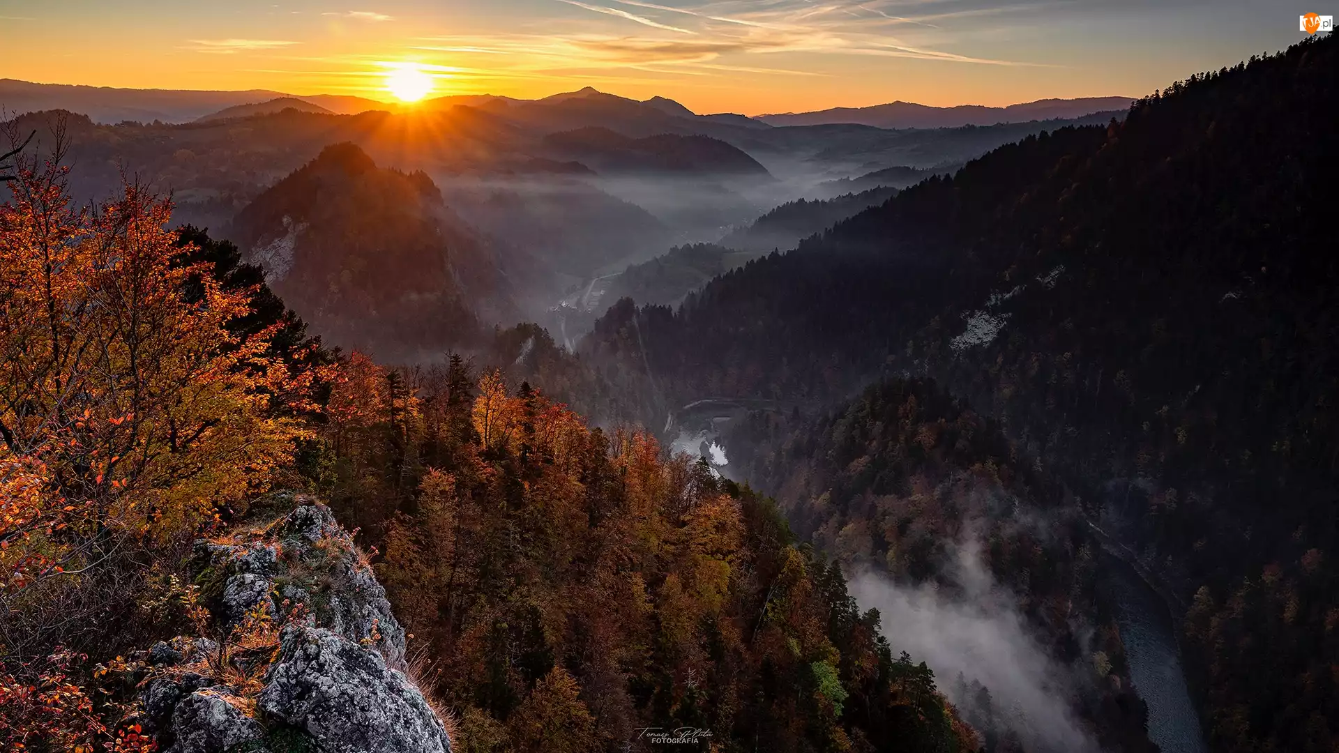 Wschód słońca, Jesień, Drzewa, Skały, Góry, Polska, Szczyt, Pieniny, Sokolica, Mgła