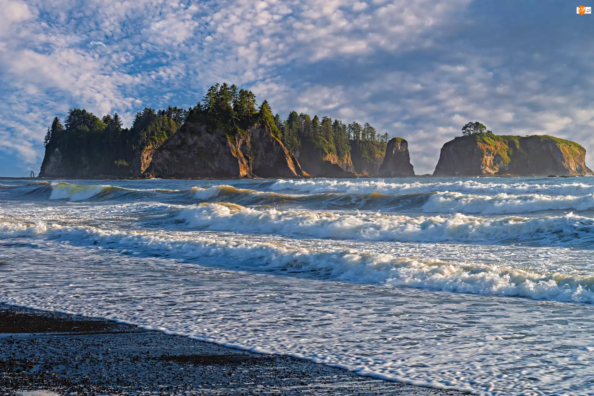 Drzewa, Fale, Plaża Rialto, Morze, Waszyngton, Stany Zjednoczone, Półwysep, Park Narodowy Olympic, Olympic Peninsula, Skały